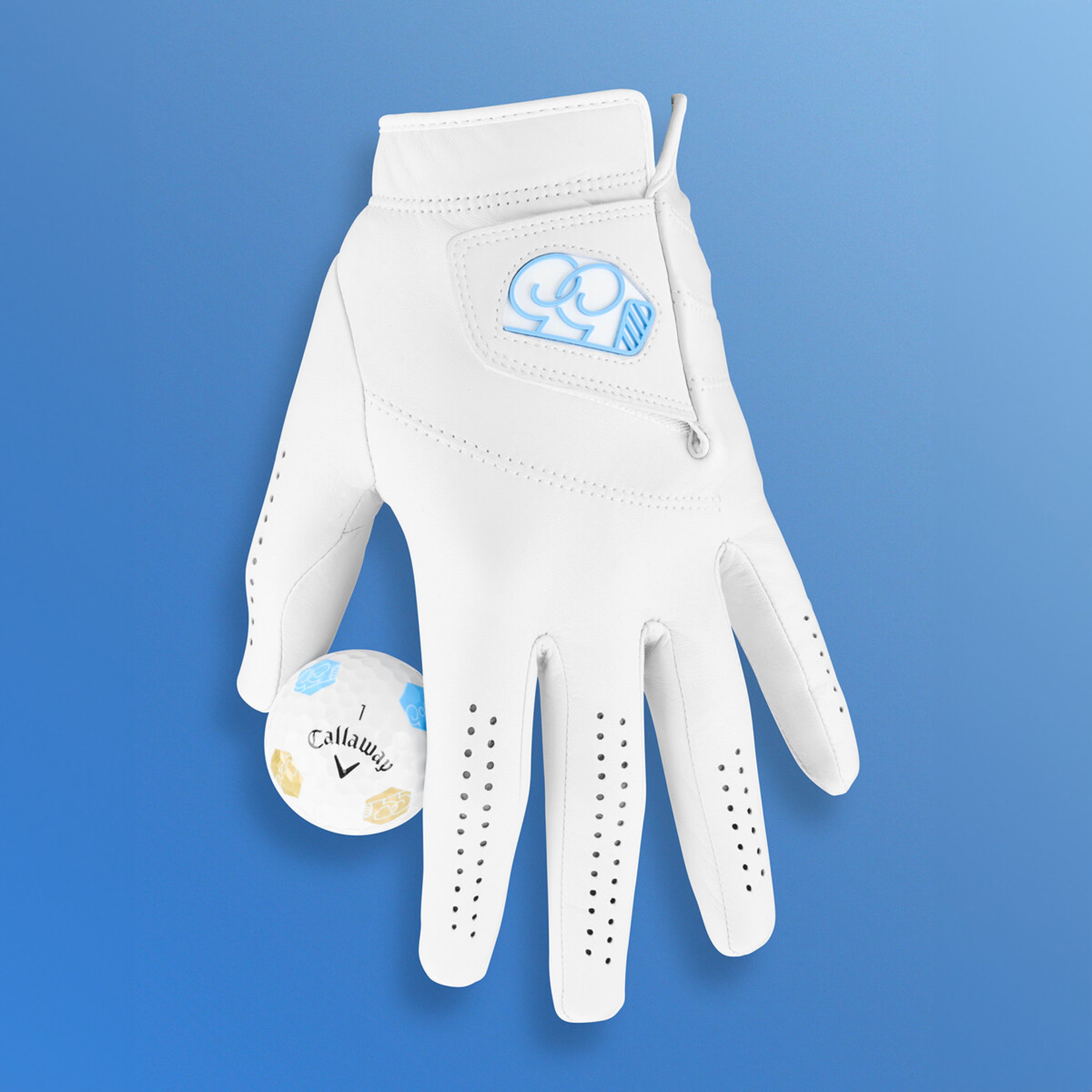 View: good good glove