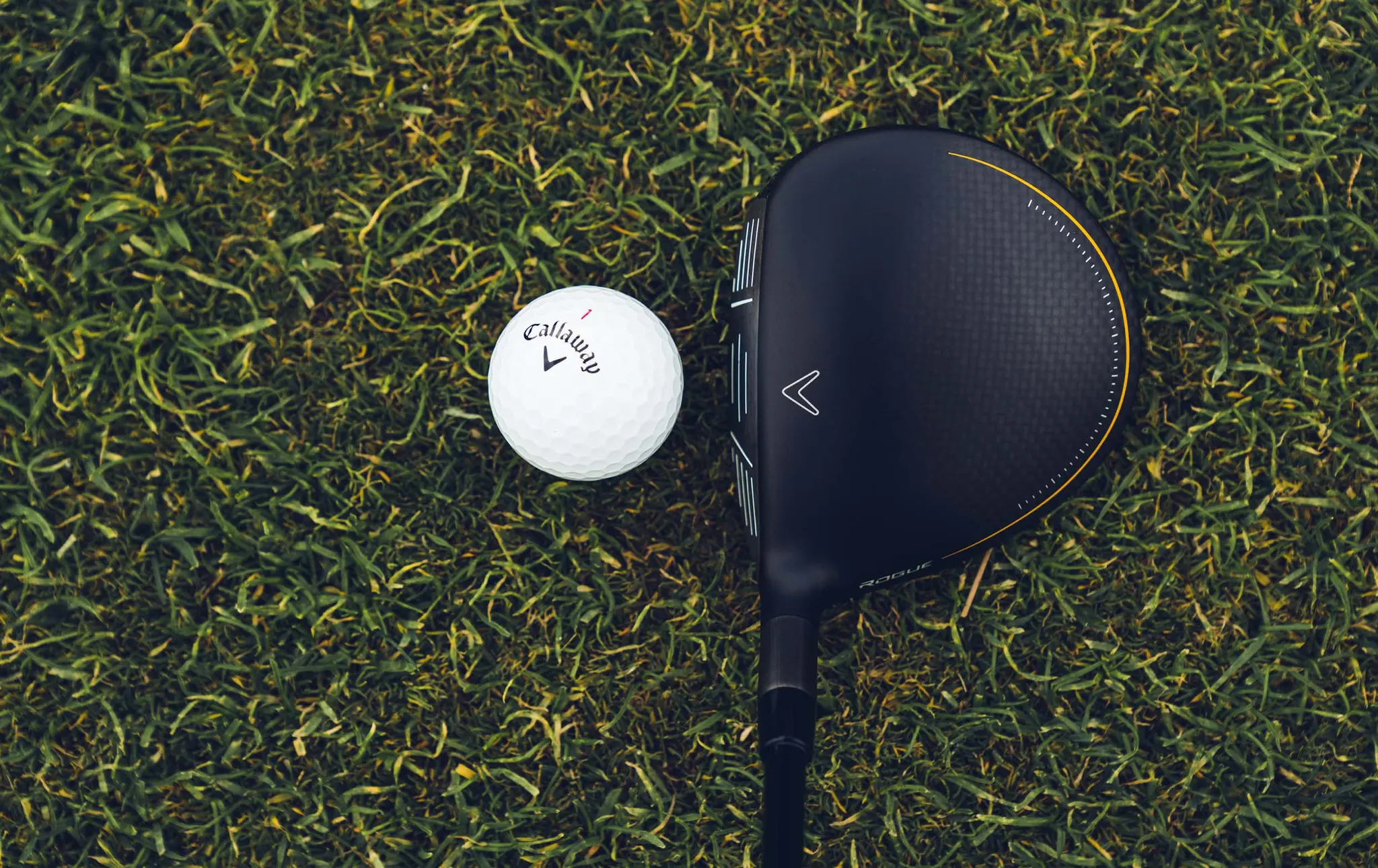 The 10 Best Beginner Fairway Woods in 2025 | Golf Avenue