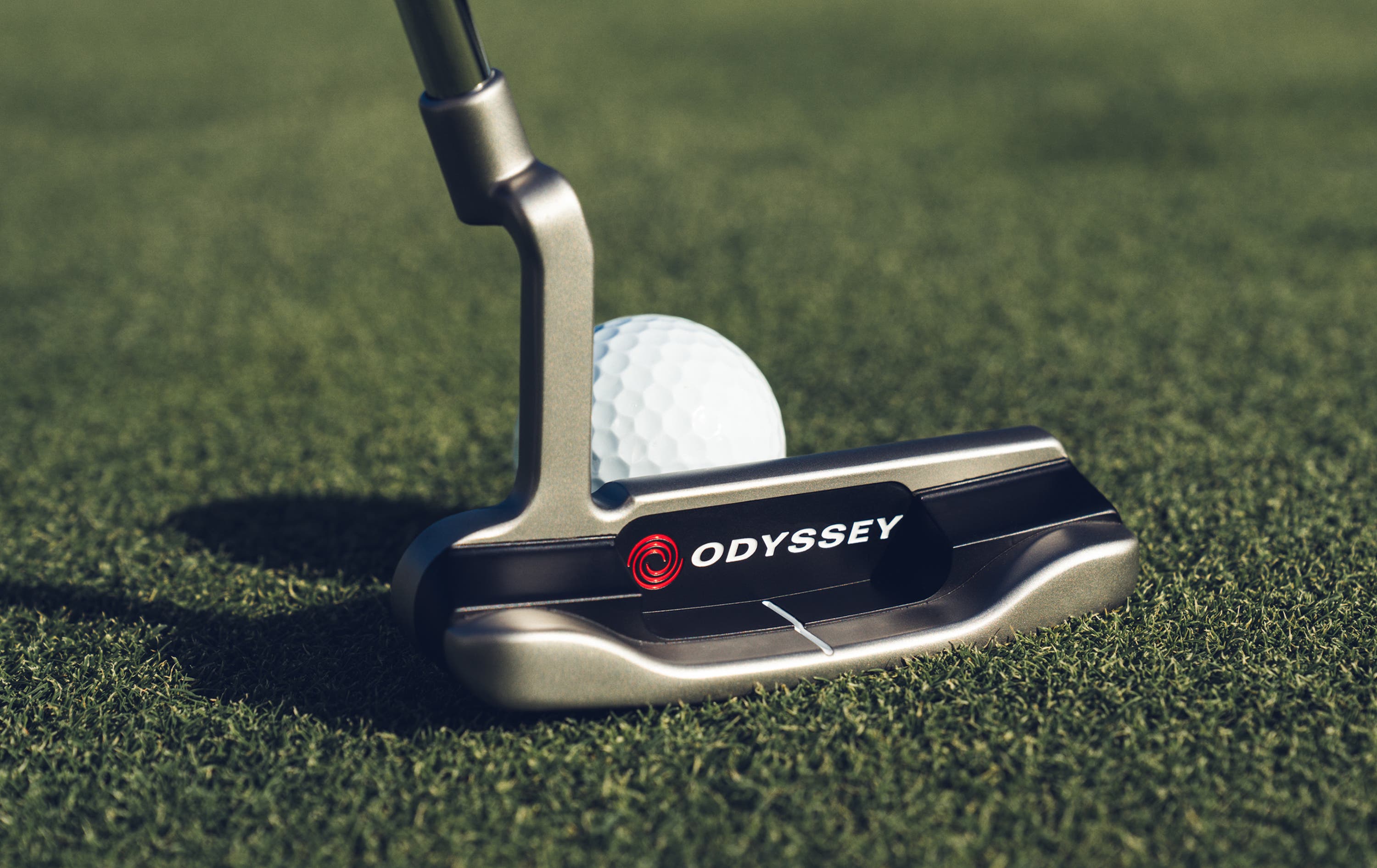 Microhinge #1 CH Putter