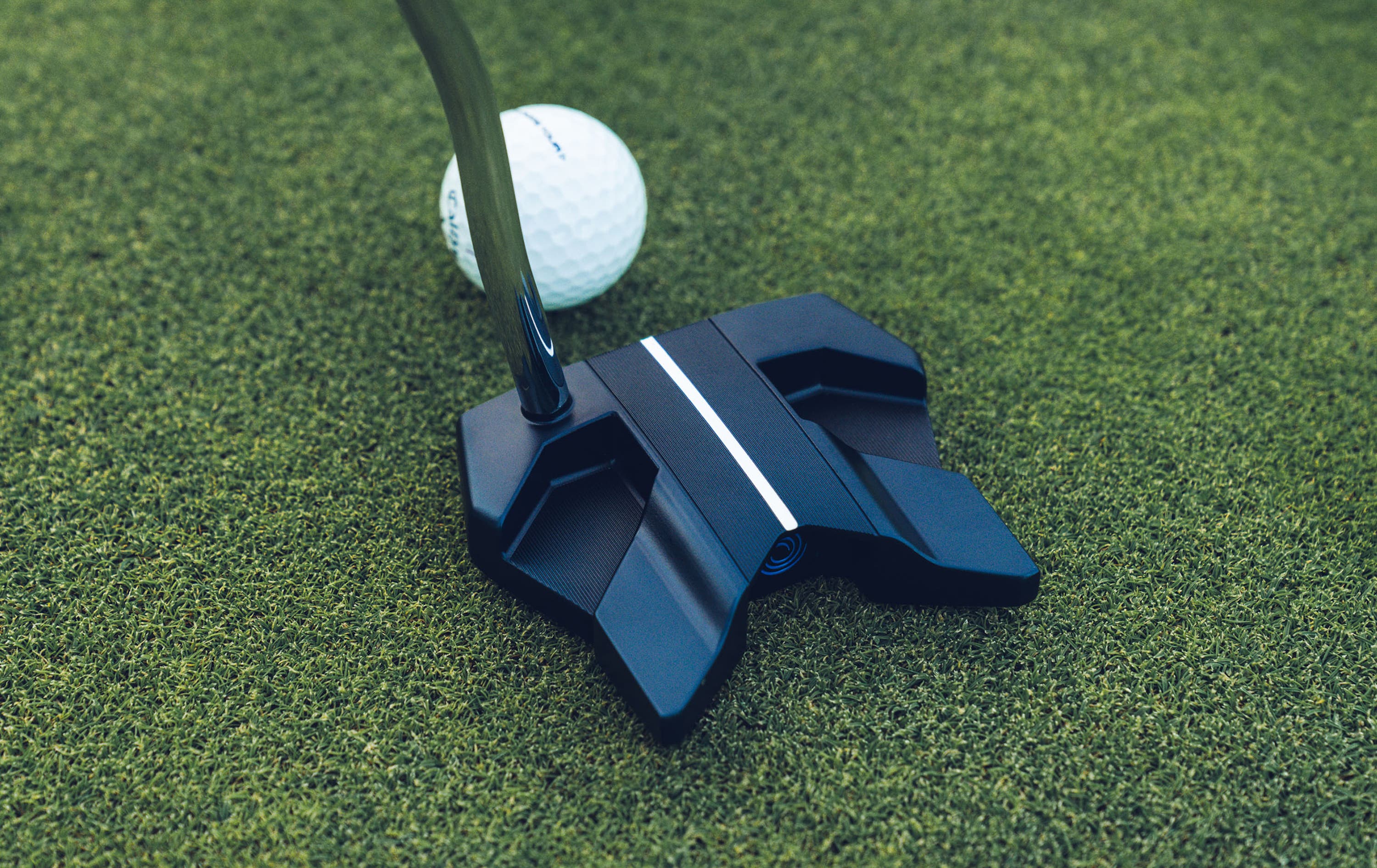 Ai-ONE Wing Back DB Putter