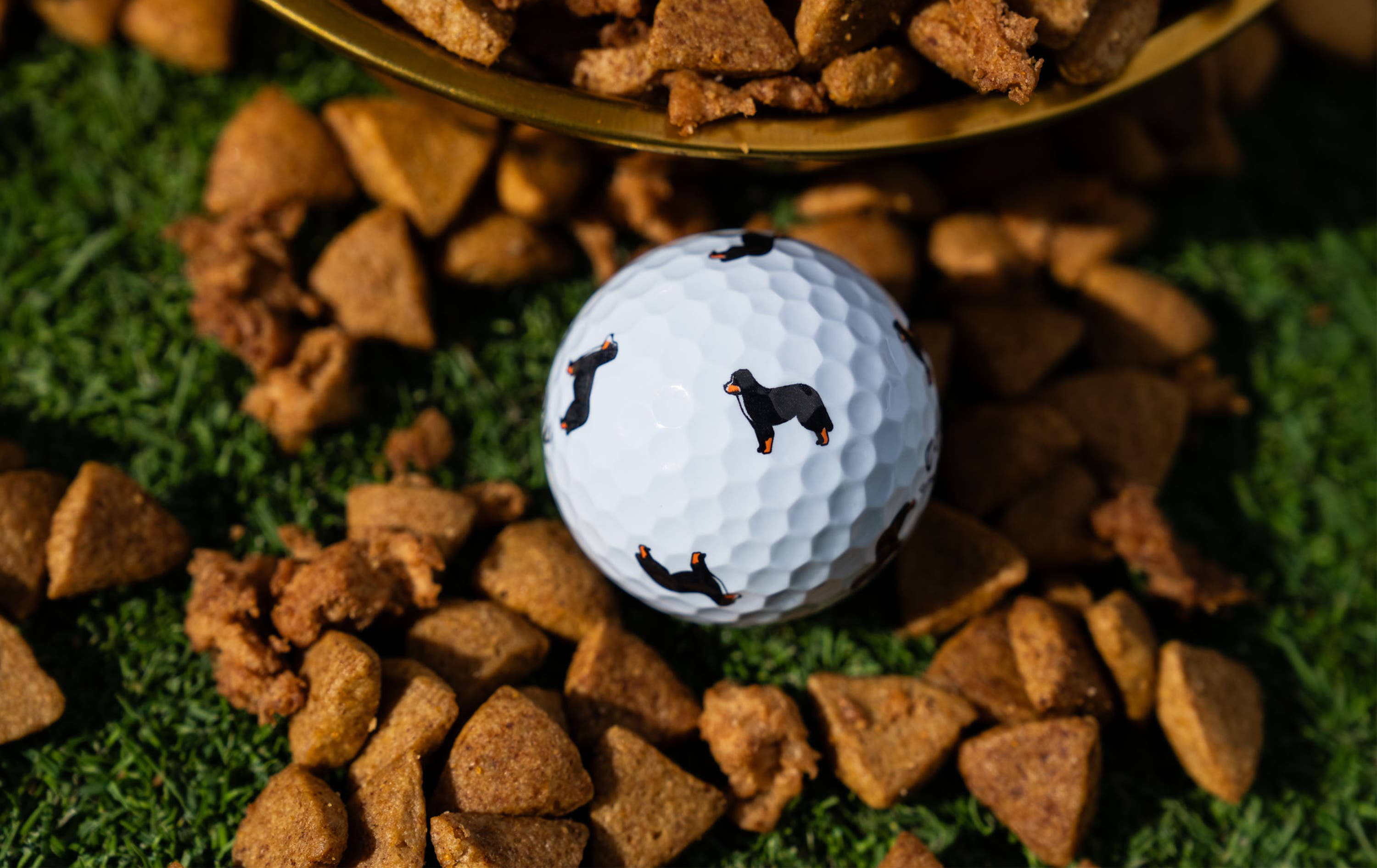 Chrome Tour Let the Big Dog Eat – Bernese Mountain Dog Golf Balls