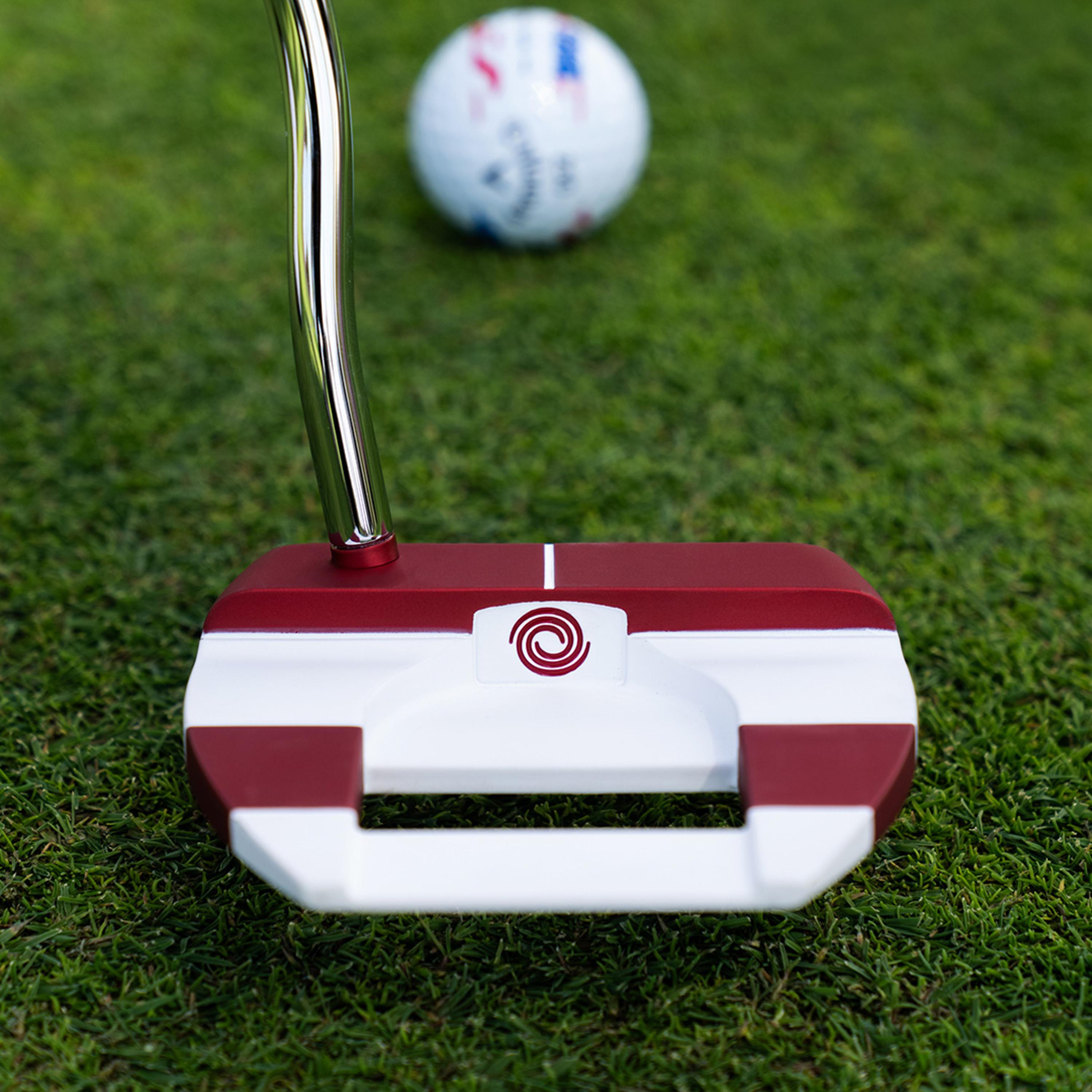 Ai-DUAL USA 250 Freebird Cruiser Putter