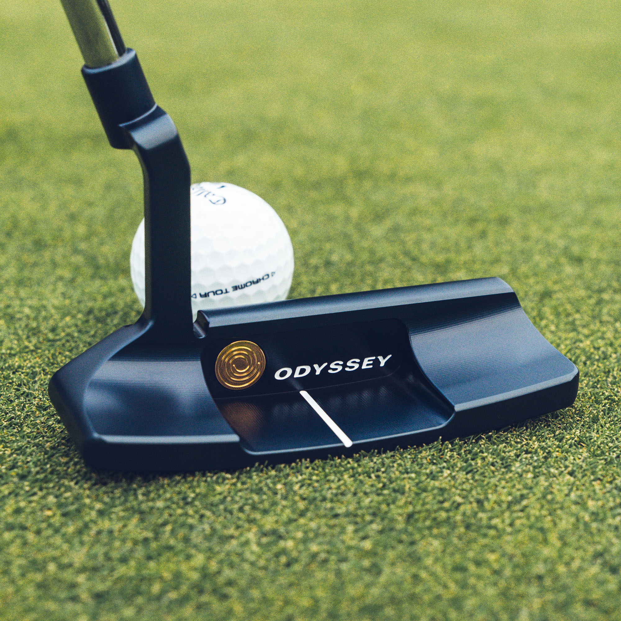 Ai-ONE MILLED ONE WIDE Tパター【数量限定】 | Odyssey Putters