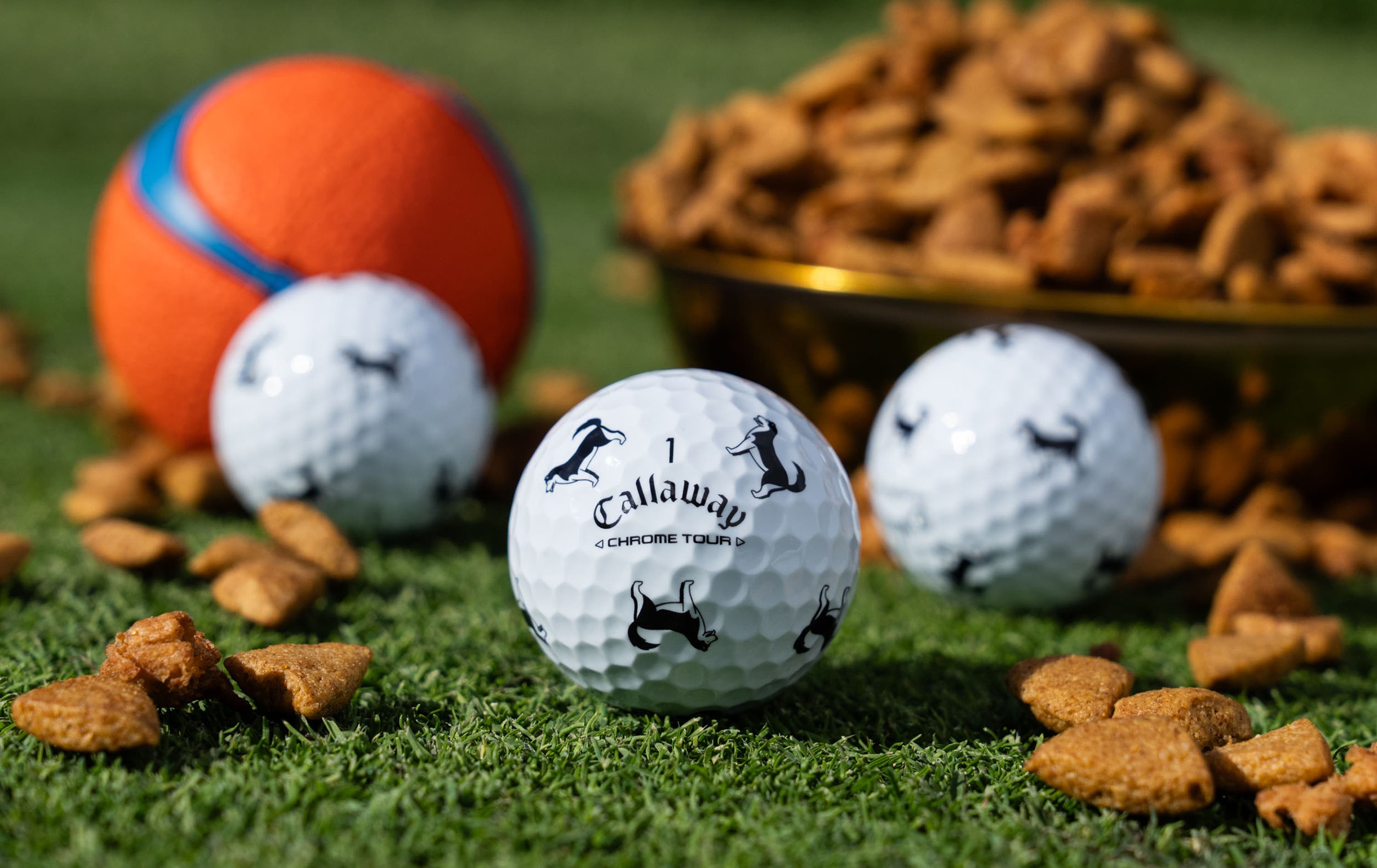 Chrome Tour Let the Big Dog Eat – Husky Golf Balls