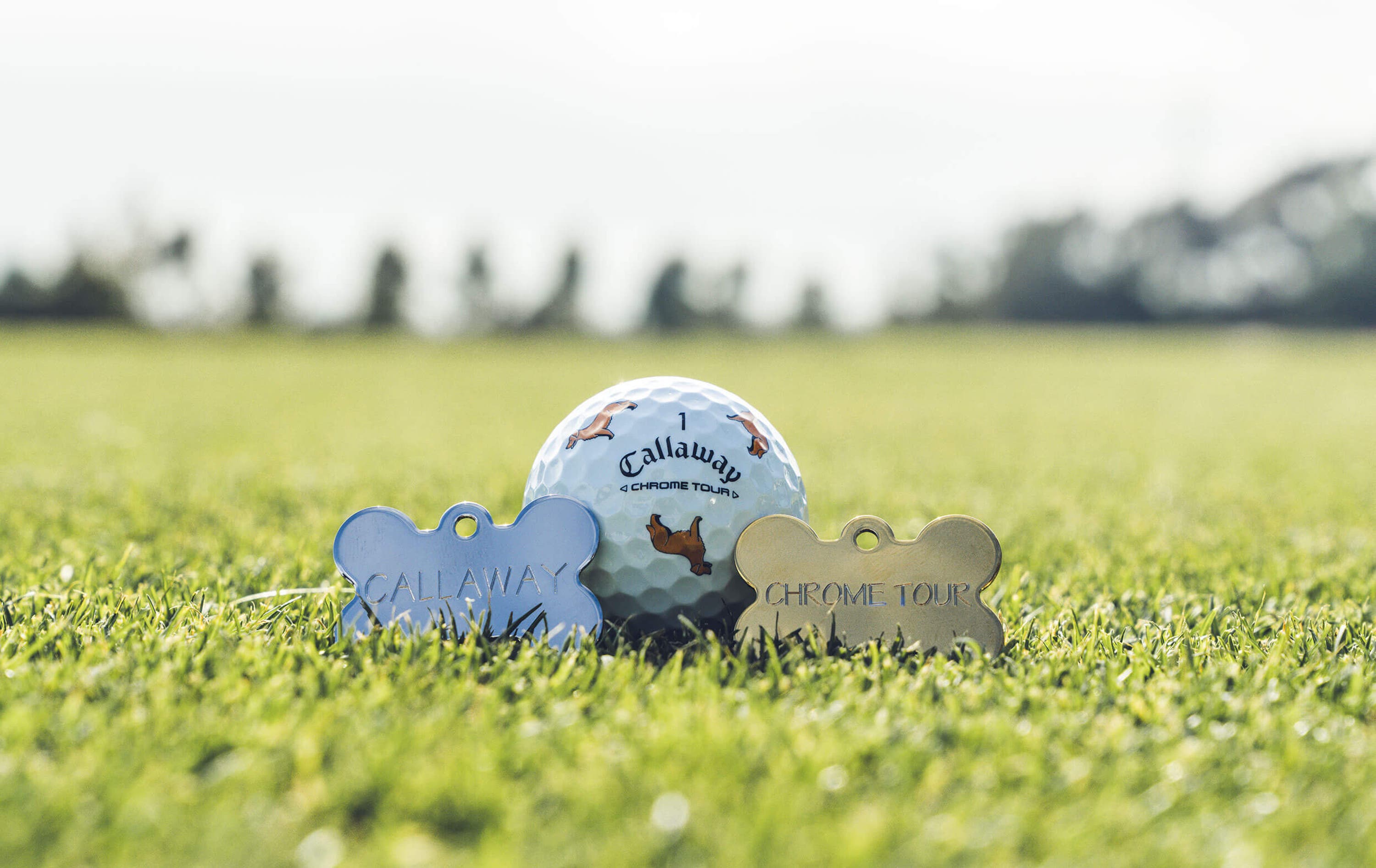 Golden Retriever Chrome Tour Golf Balls