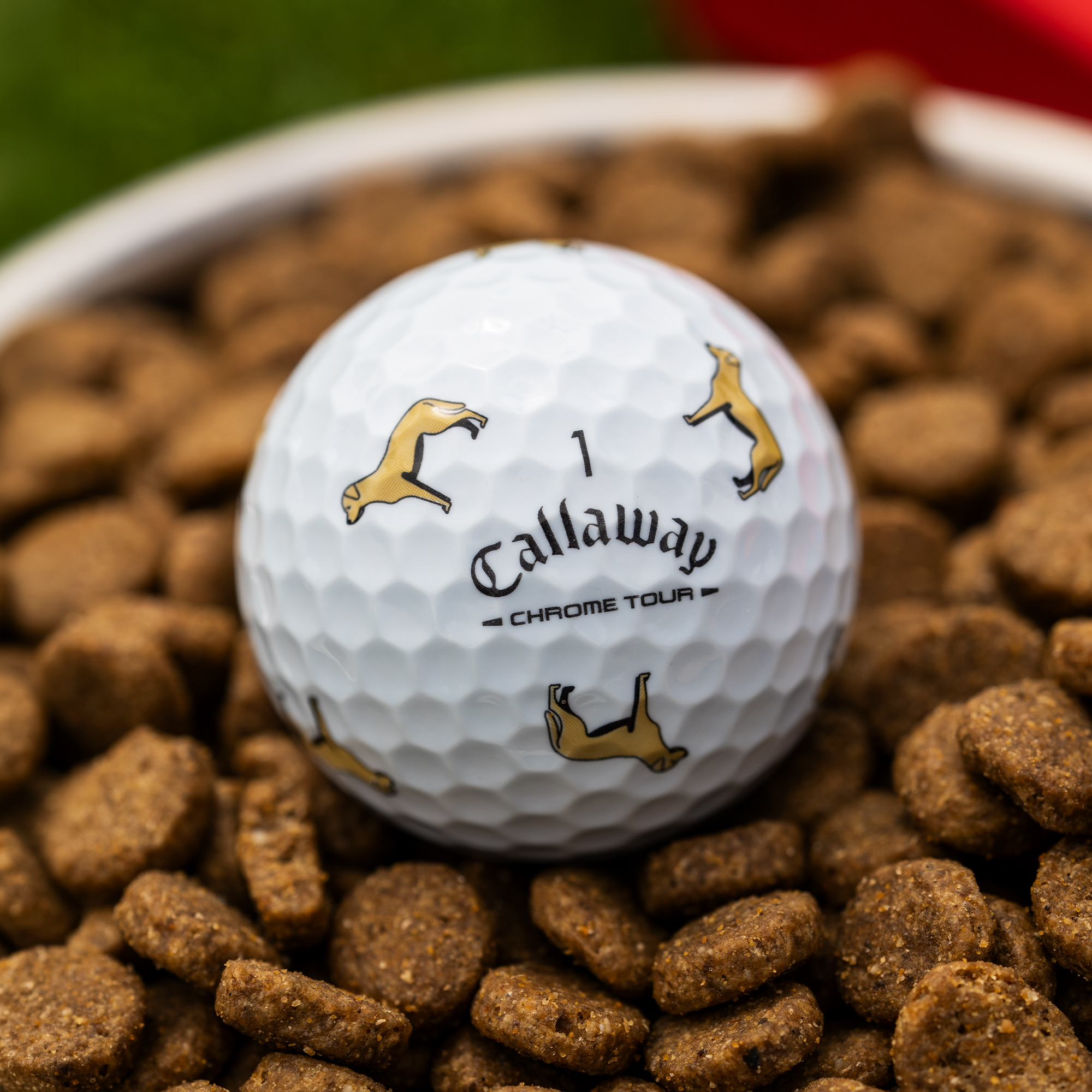 Chrome Tour Yellow Lab Dog Golf Balls