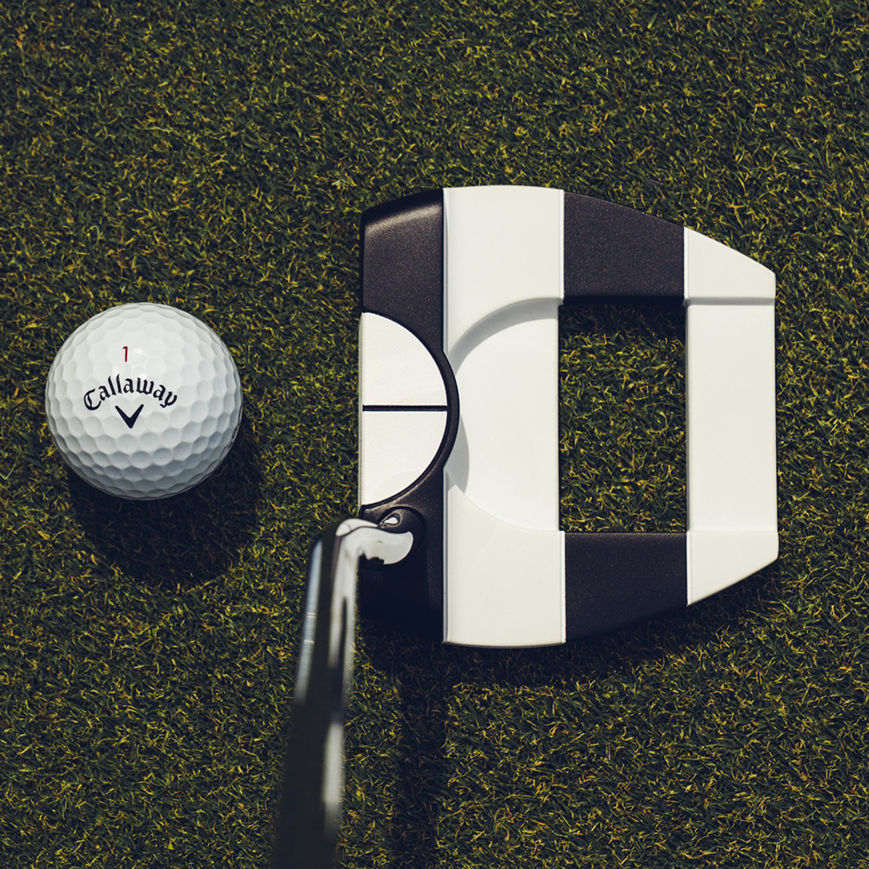 Ai-DUAL Jailbird 1/2 Ball Cruiser Putte