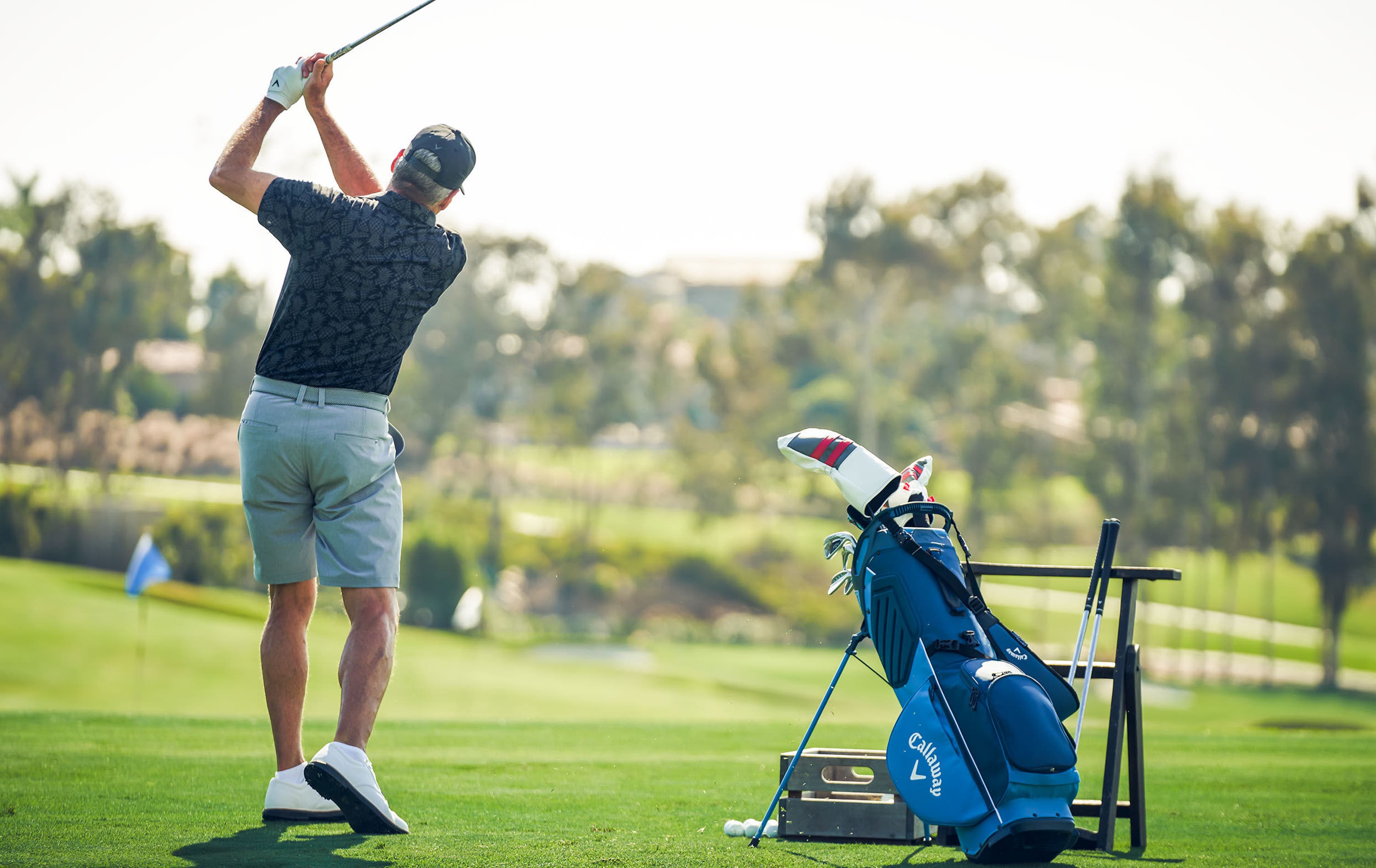 Fairway+ L Double Strap Stand Bag