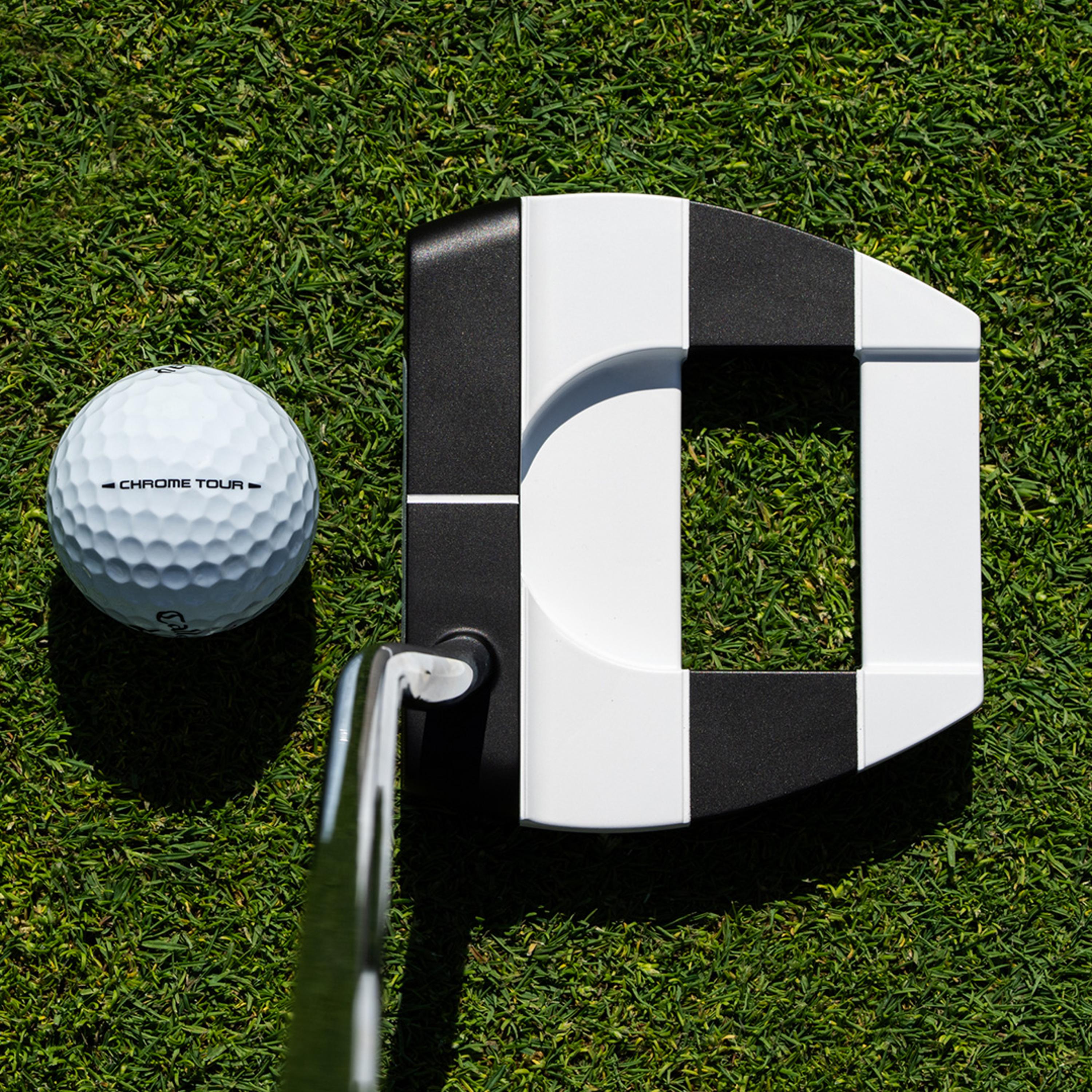 Ai-DUAL Jailbird Cruiser Putter