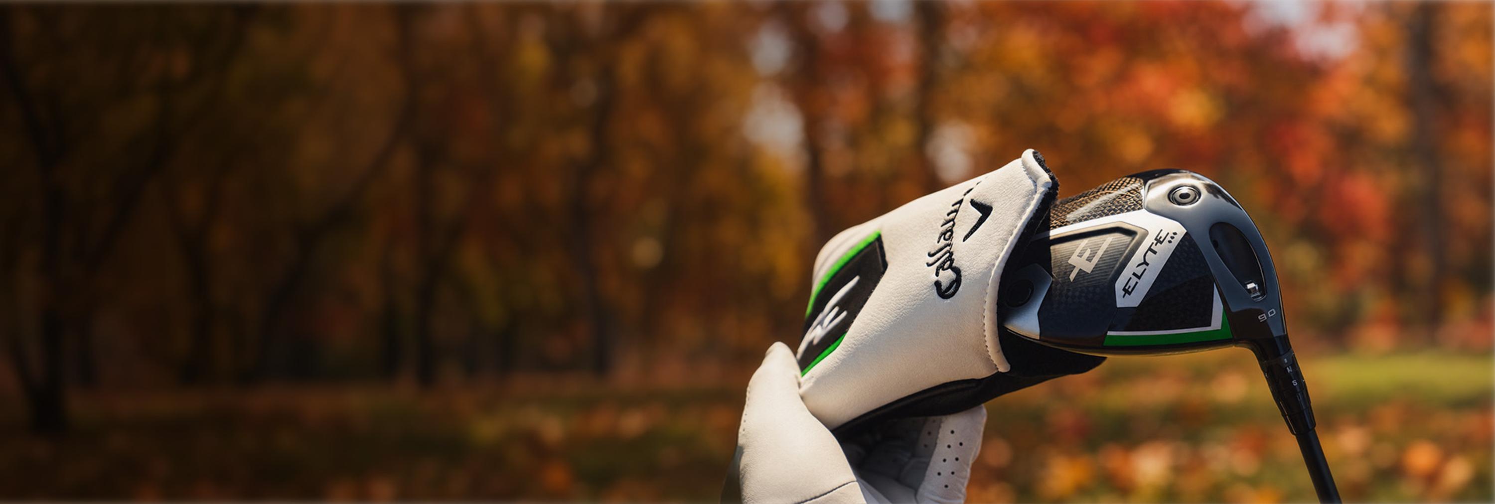 paradym on fall background
