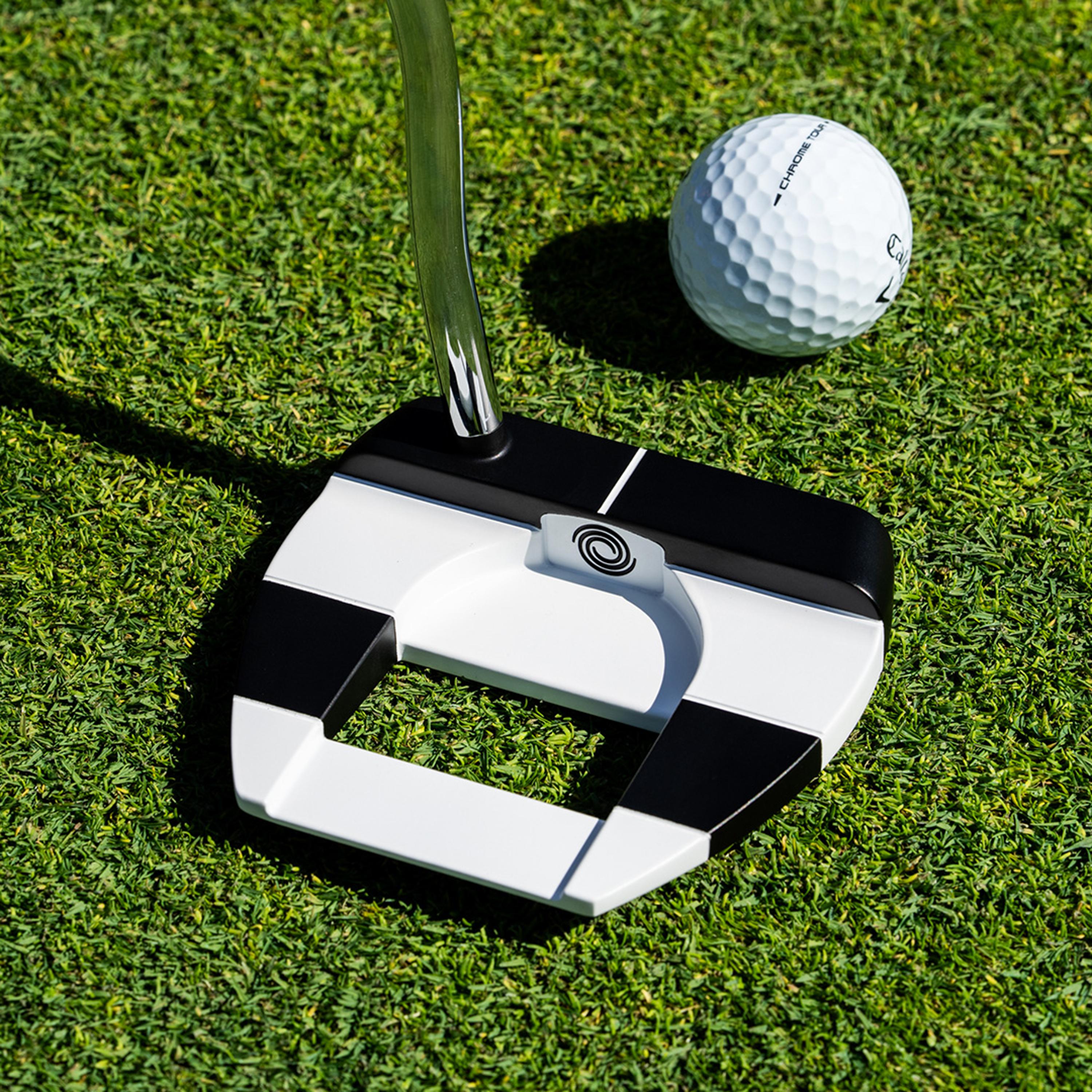Ai-DUAL Jailbird Cruiser Putter