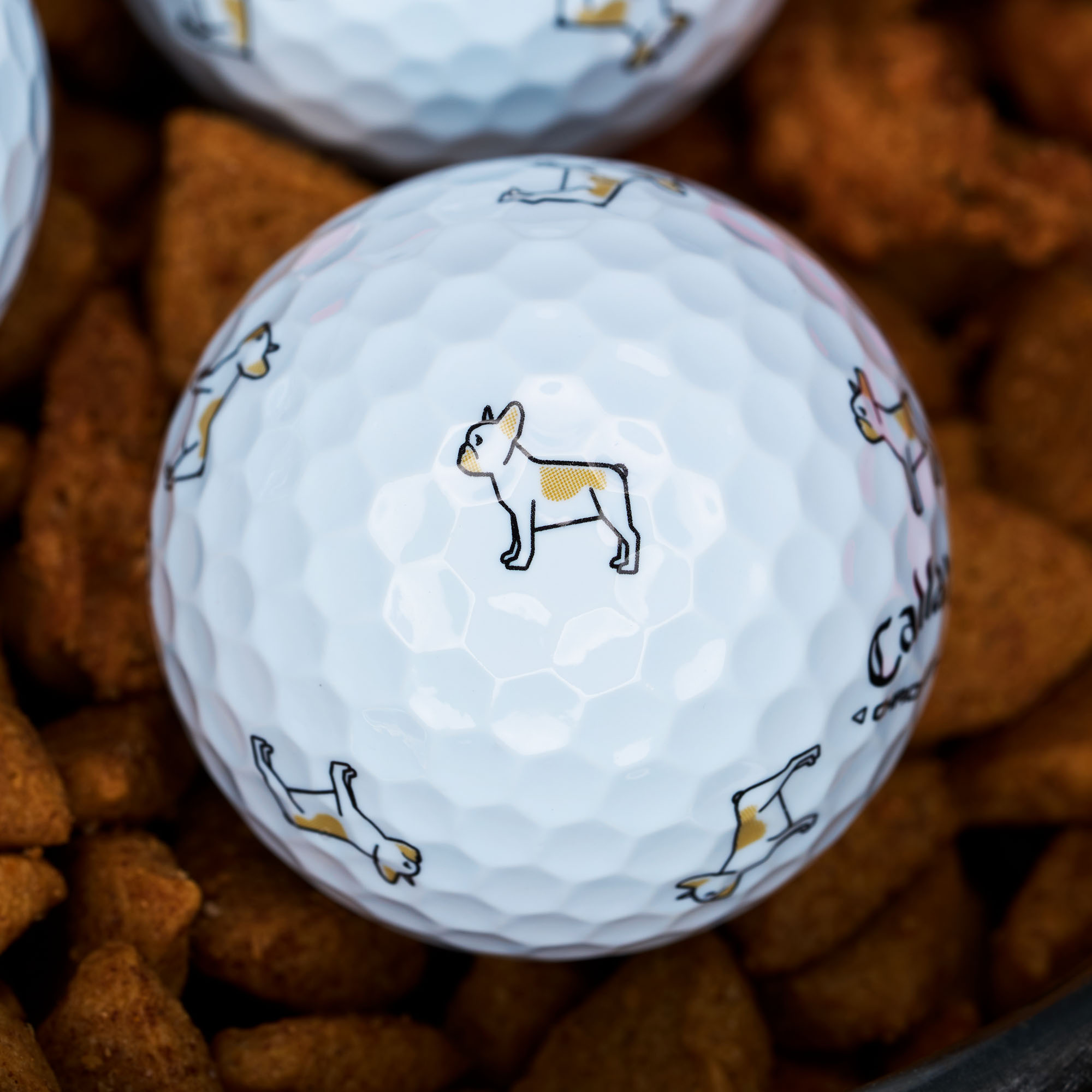 Chrome Tour Small Dogs: Cream French Bulldog