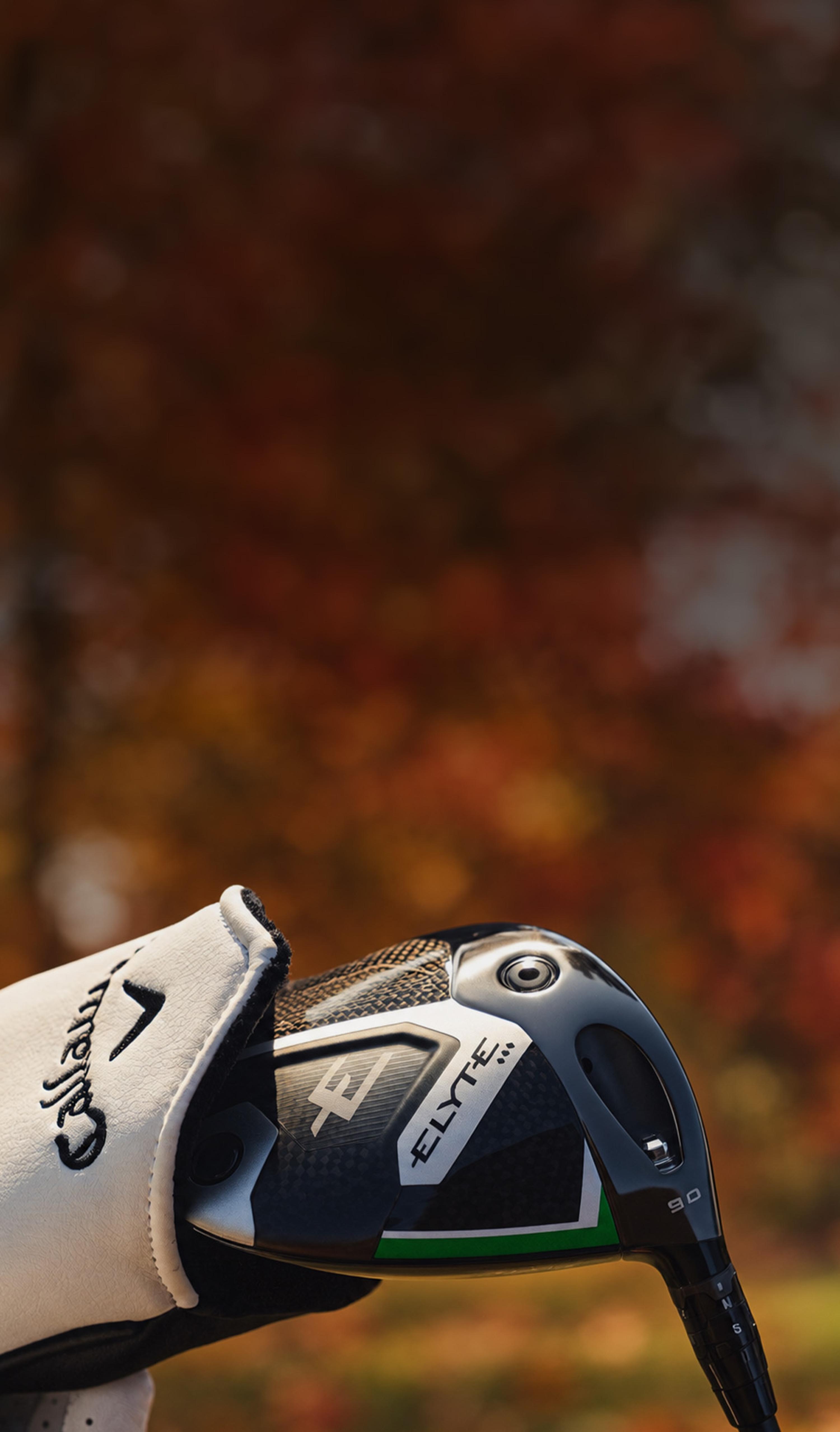paradym on fall background