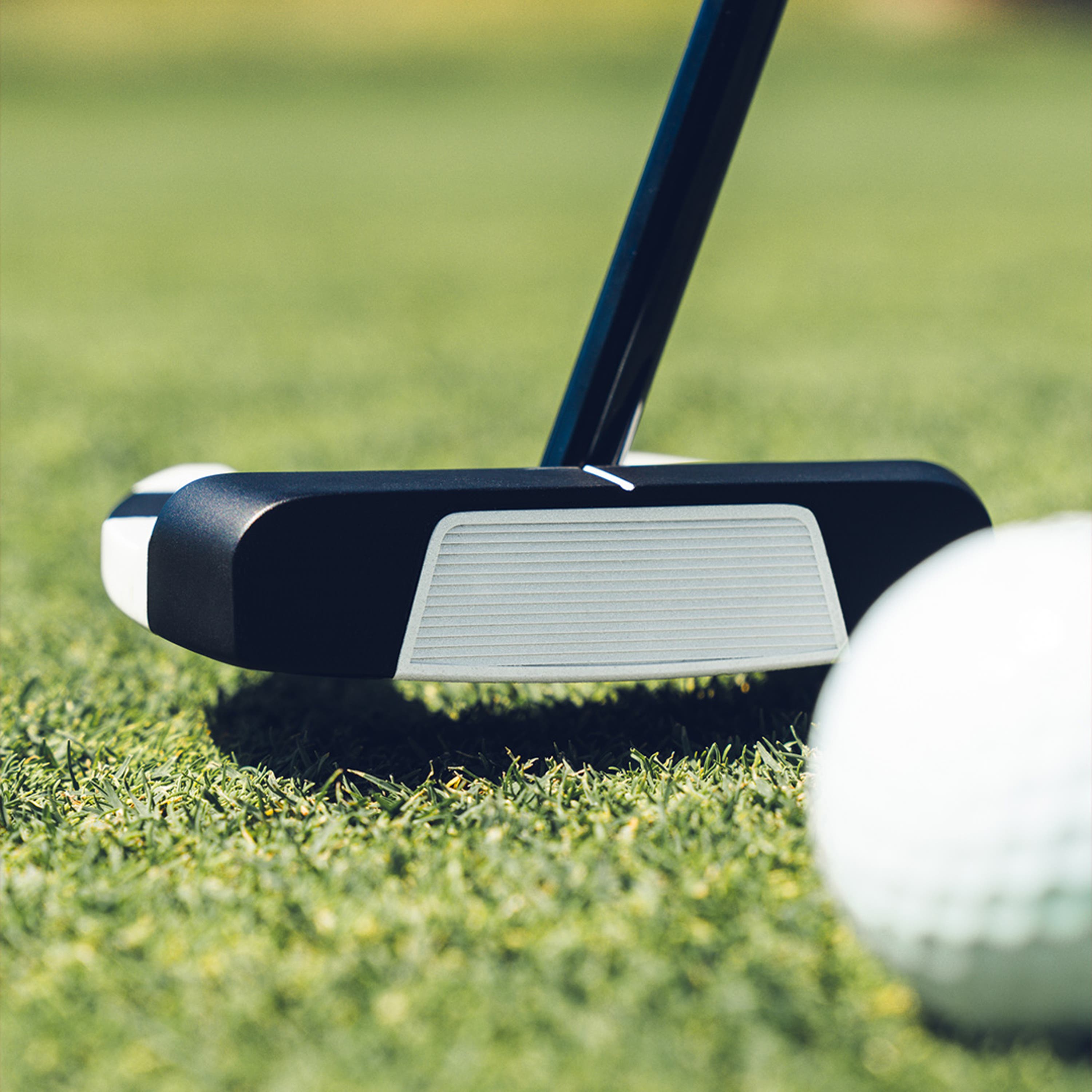 Ai-DUAL Putter with Golf Ball