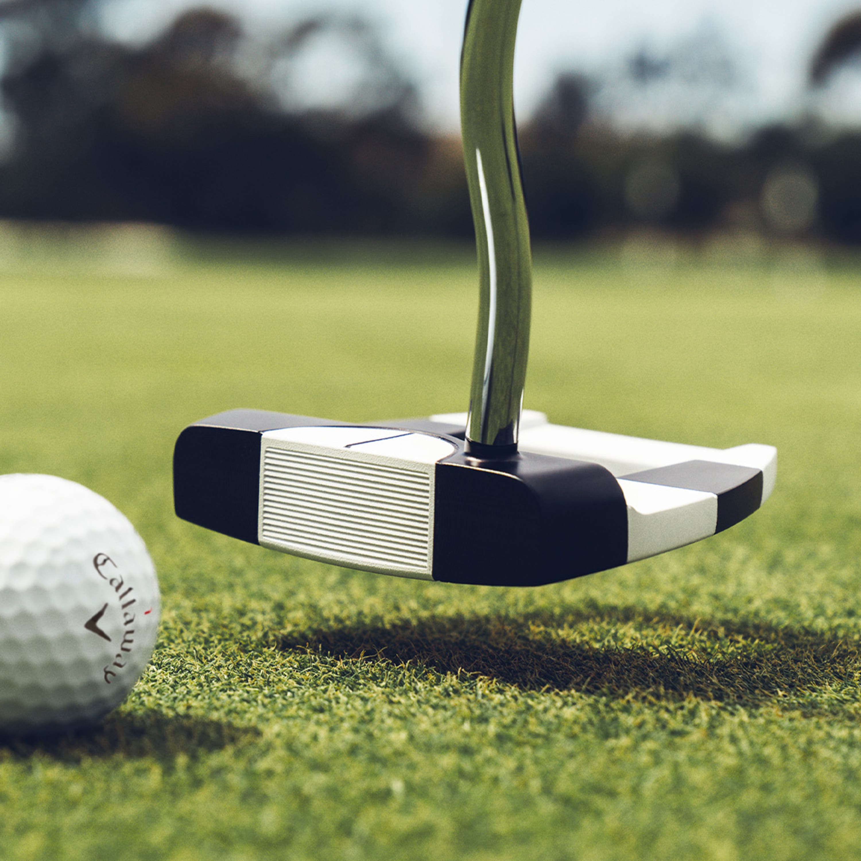 Ai-DUAL Jailbird 1/2 Ball Cruiser Putte