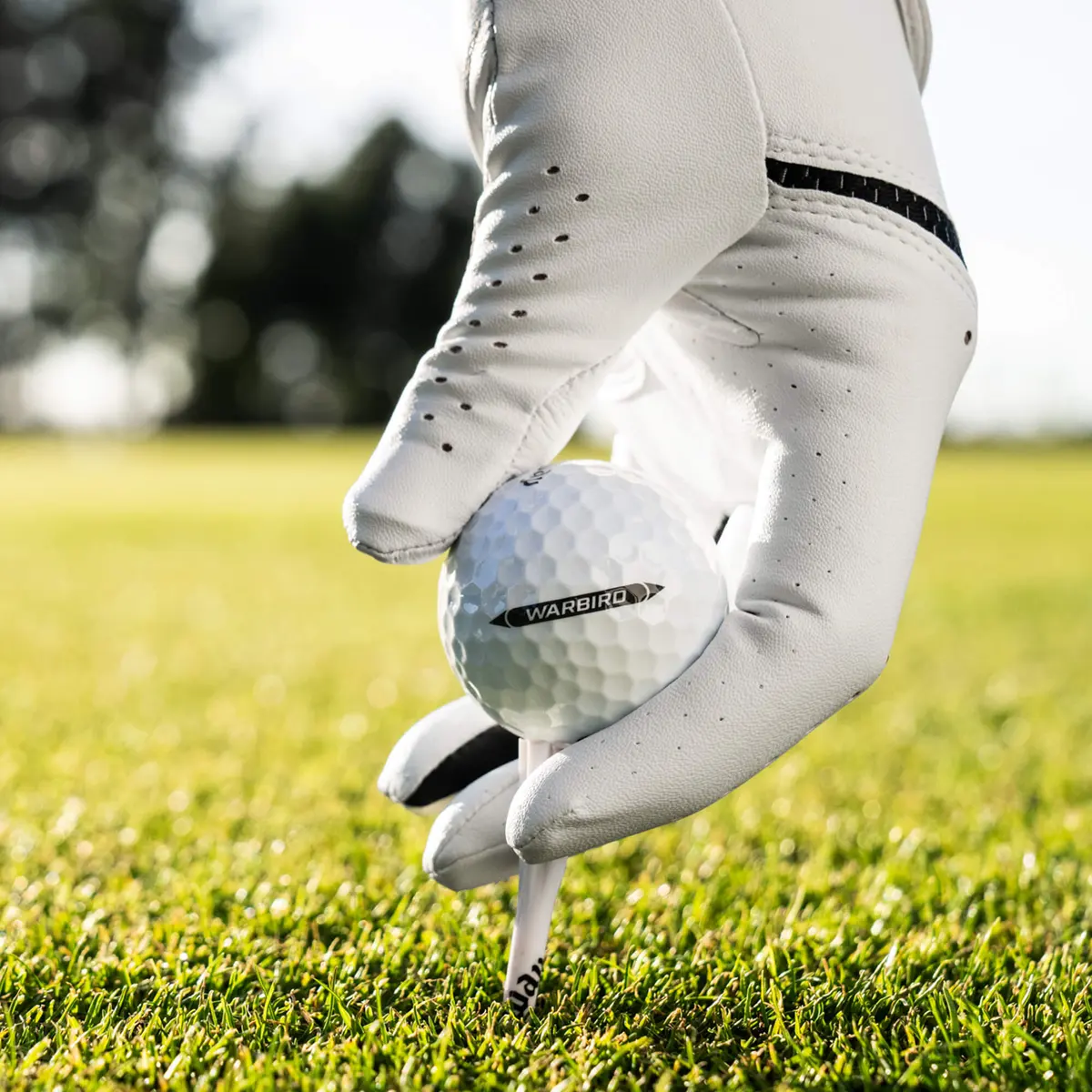 Distance Ball 2025 Warbird Distance+ Golf Balls | Callaway Golf