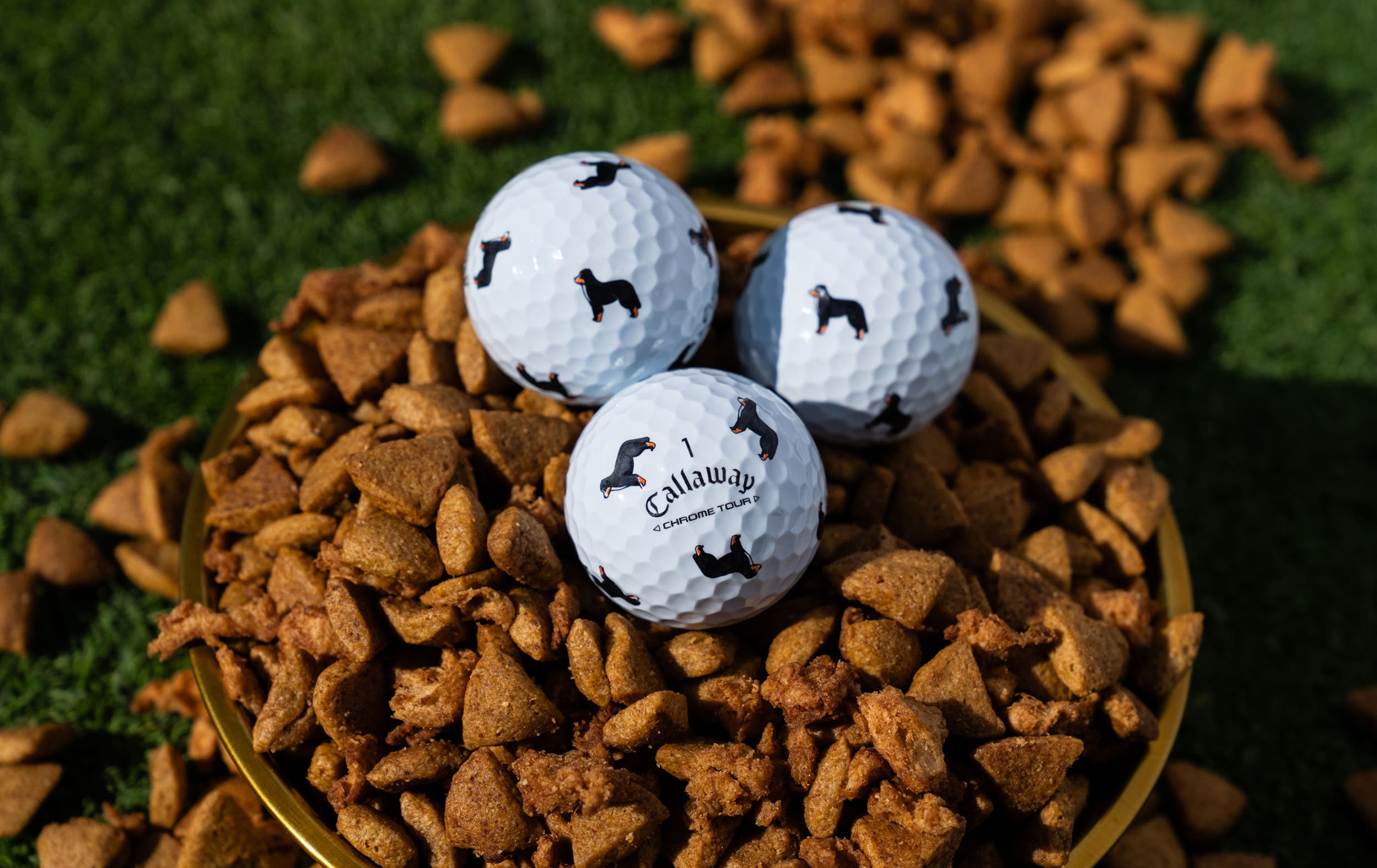 Chrome Tour Let the Big Dog Eat – Bernese Mountain Dog Golf Balls