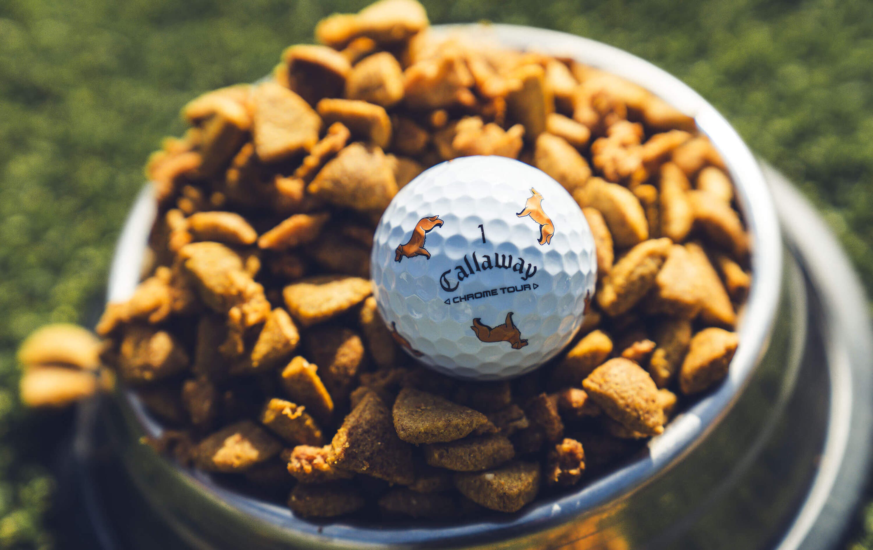 Golden Retriever Chrome Tour Golf Balls