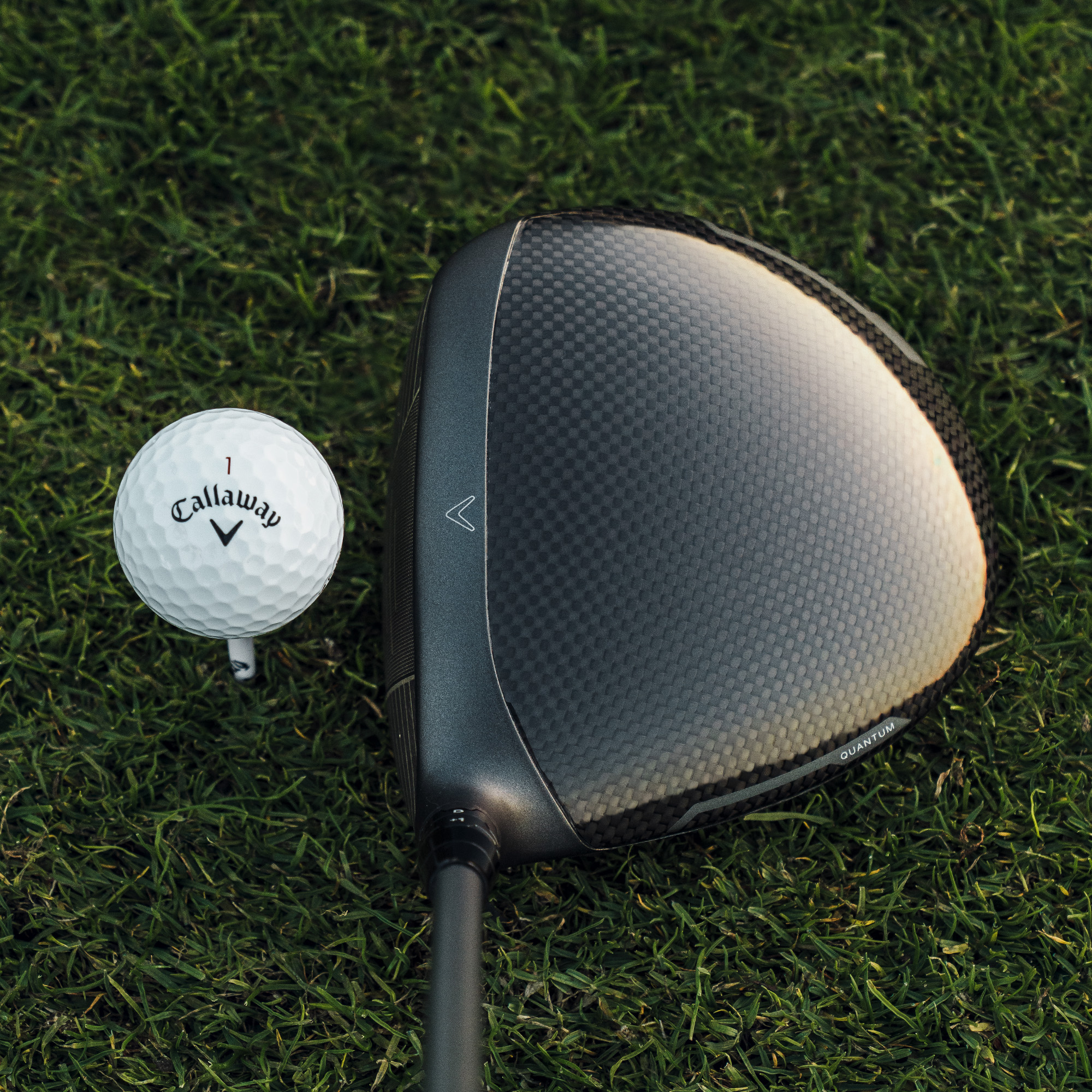 Quantum Max D Driver