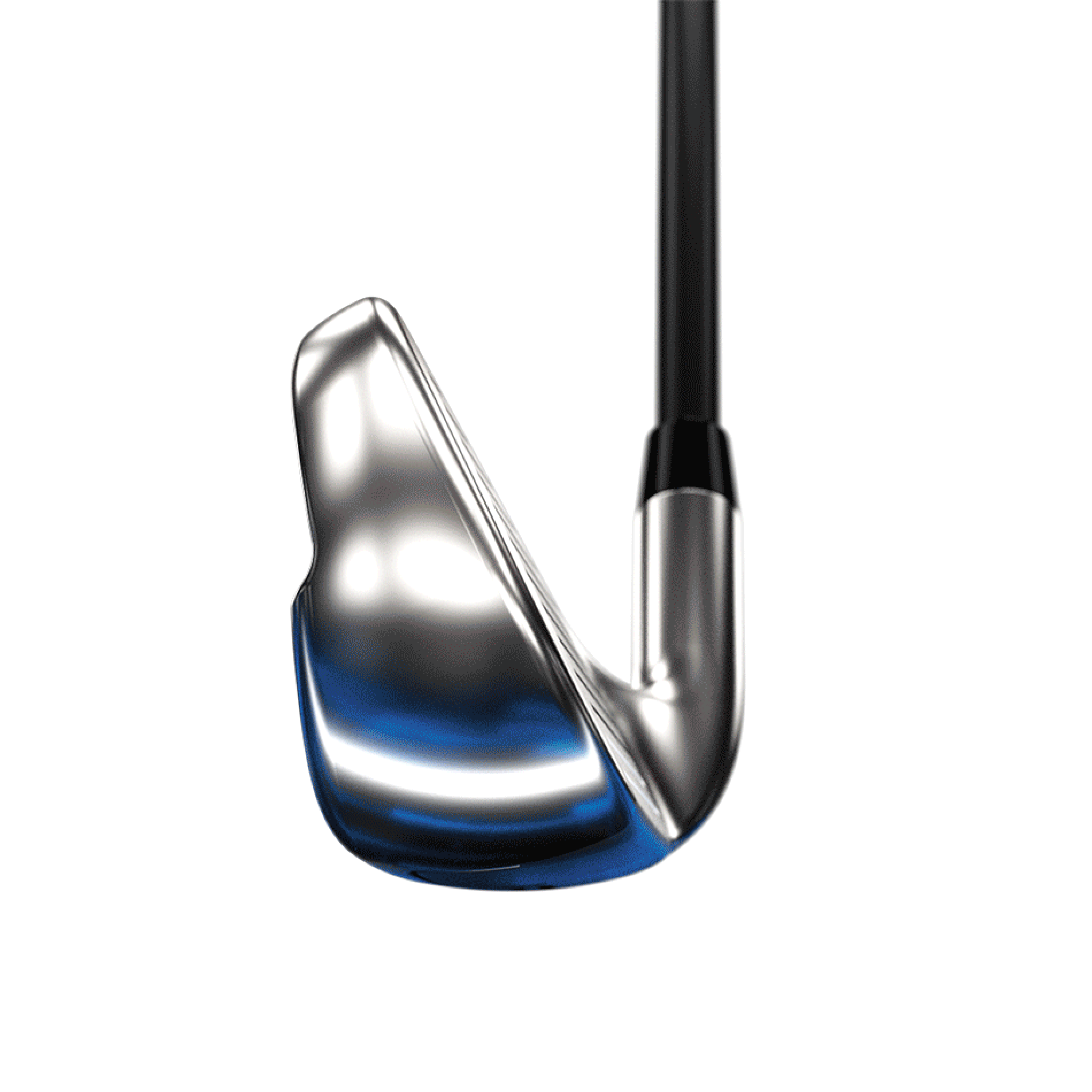 Big Bertha B21 Irons