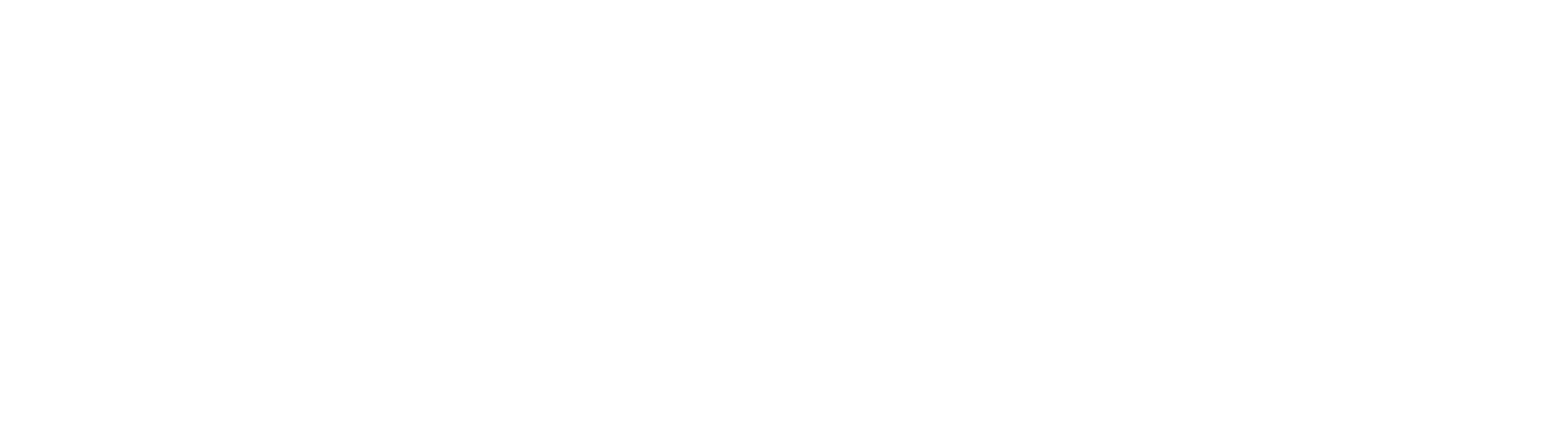 Opus-SP-Logo_White.png