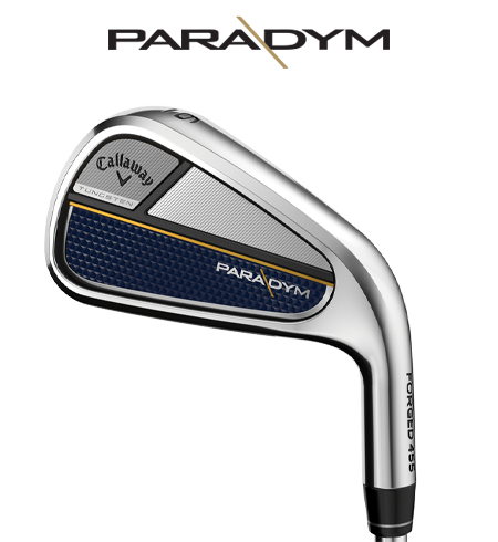 Paradym Ai Smoke HL Irons