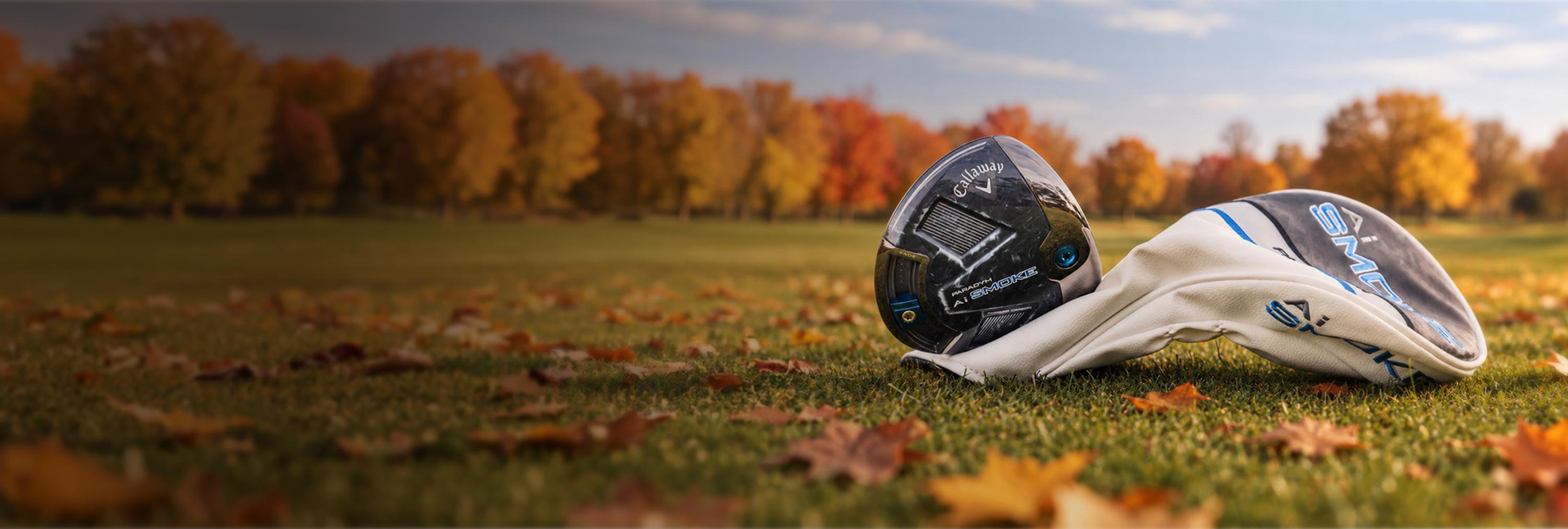 paradym on fall background