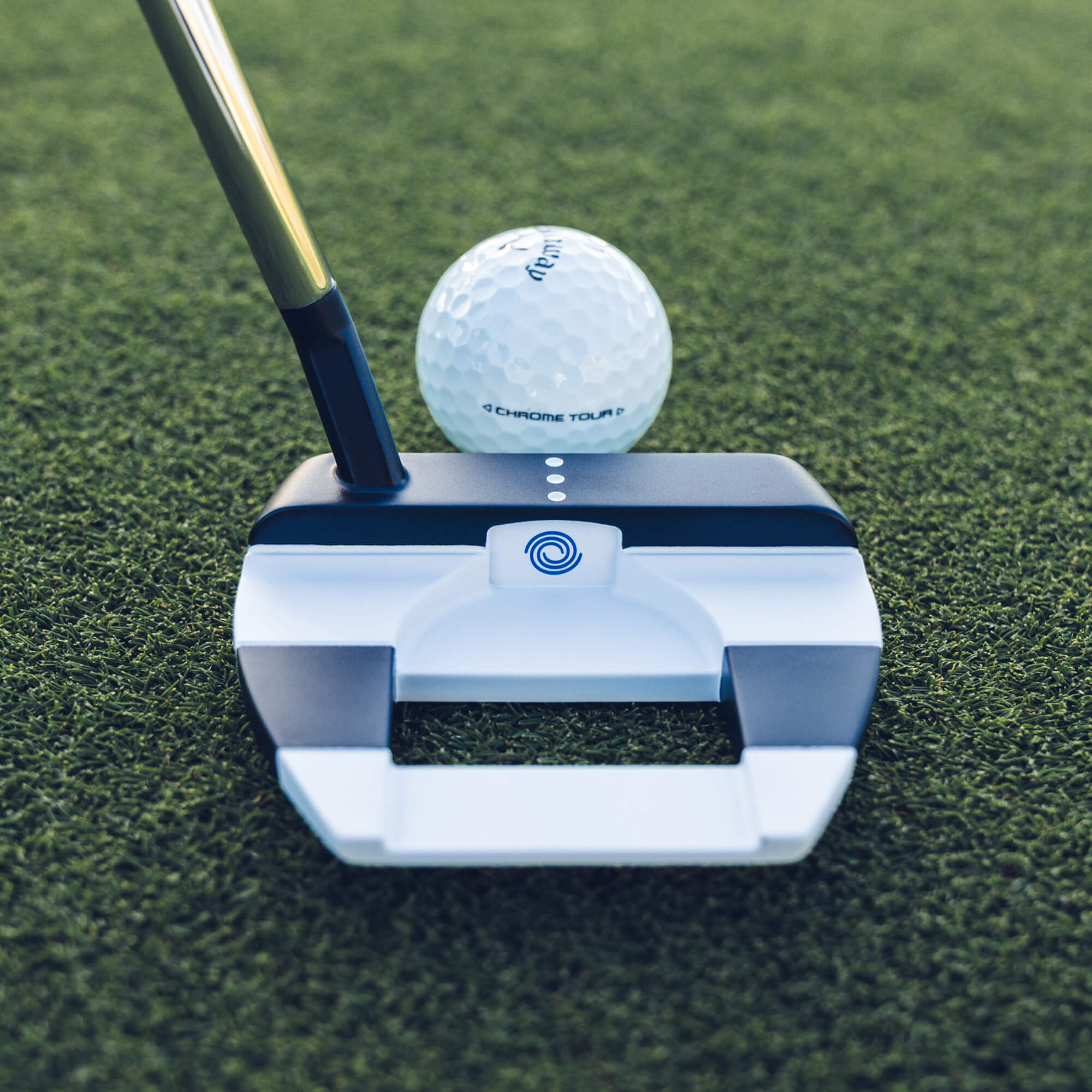 putters-2025-ai-one-jailbird-