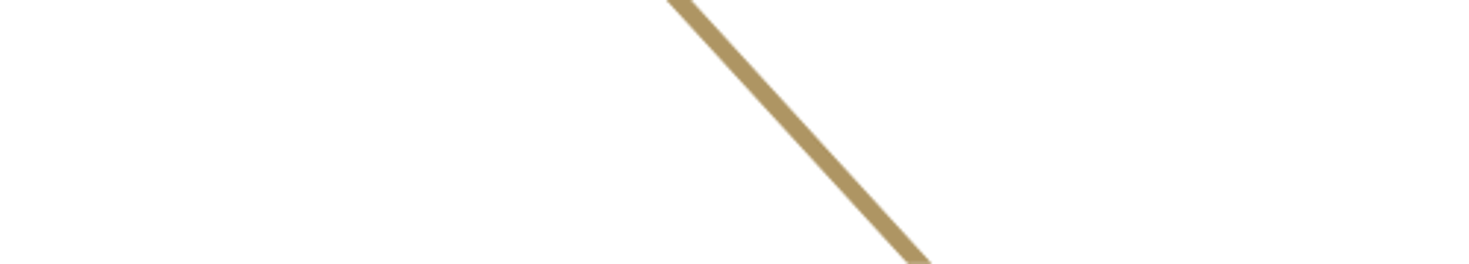 paradym-logo-white-gold.png