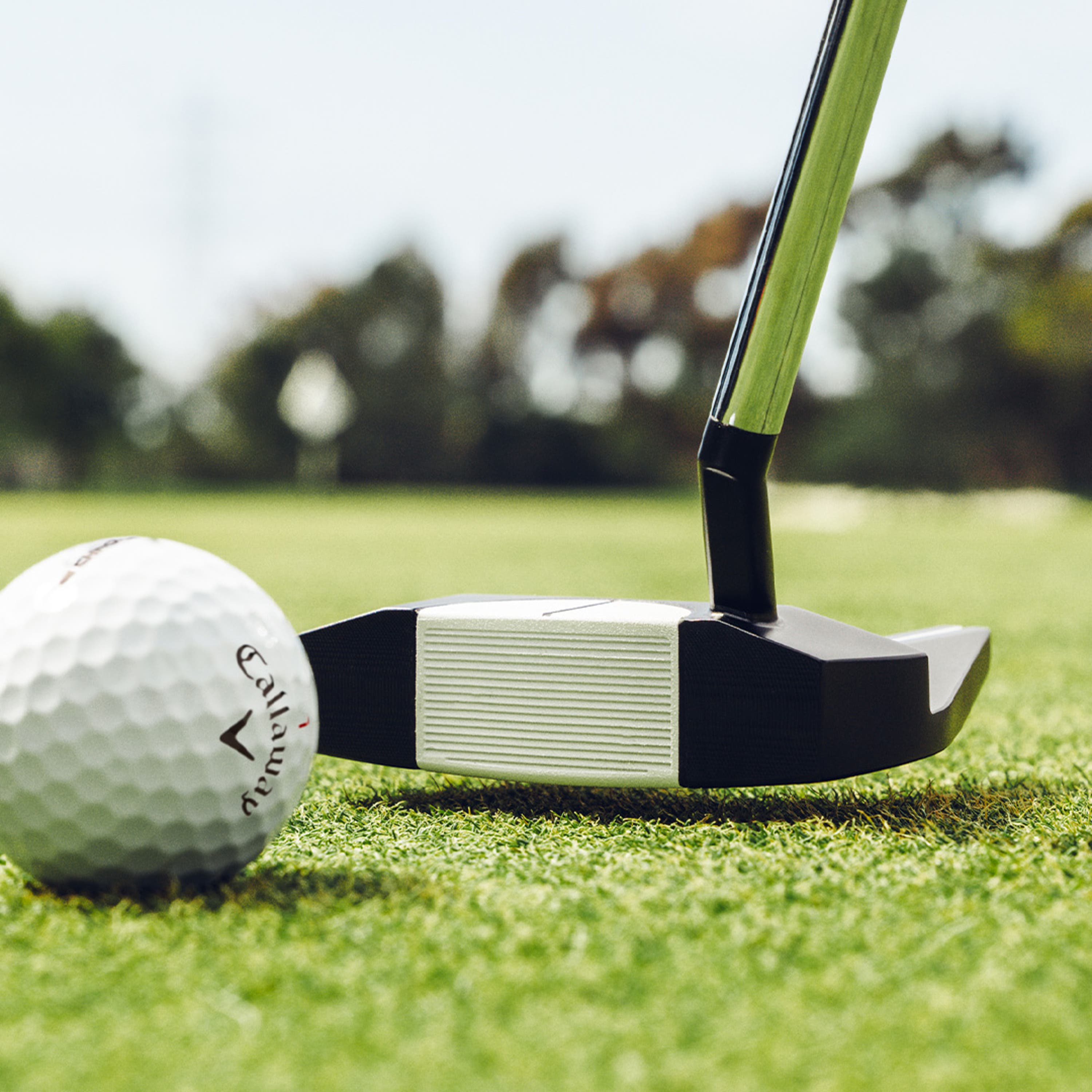 Ai-Dual Putter with Golf Ball