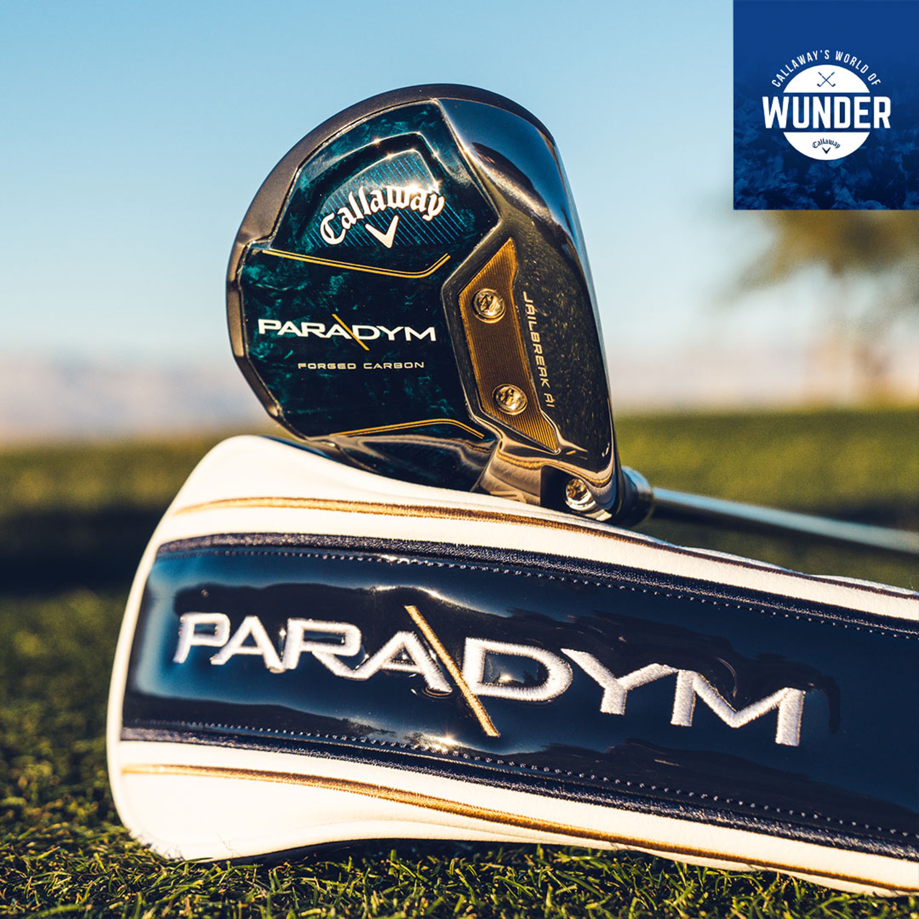 The Paradym Family of Fairway Woods Are...WOW