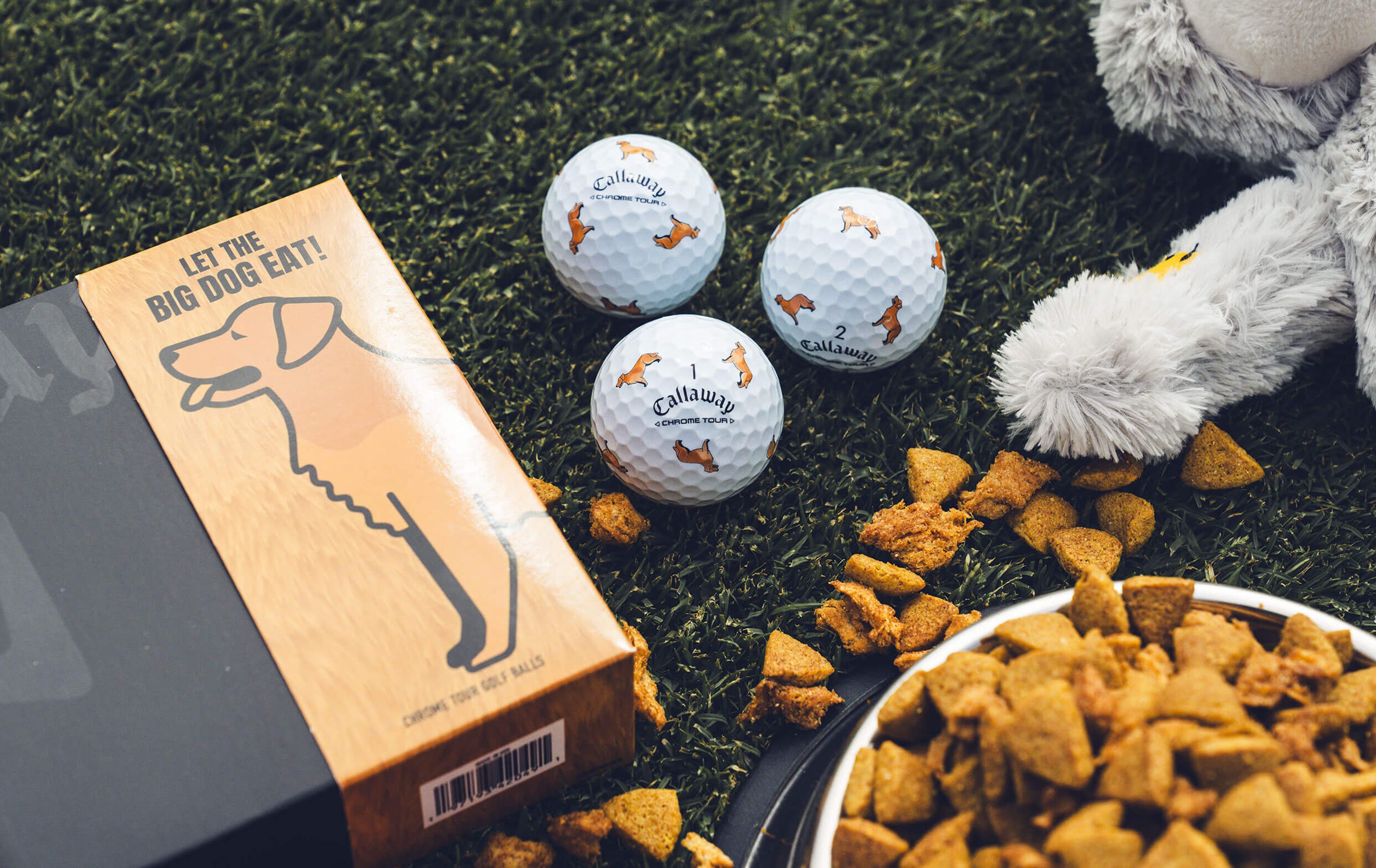 Golden Retriever Chrome Tour Golf Balls