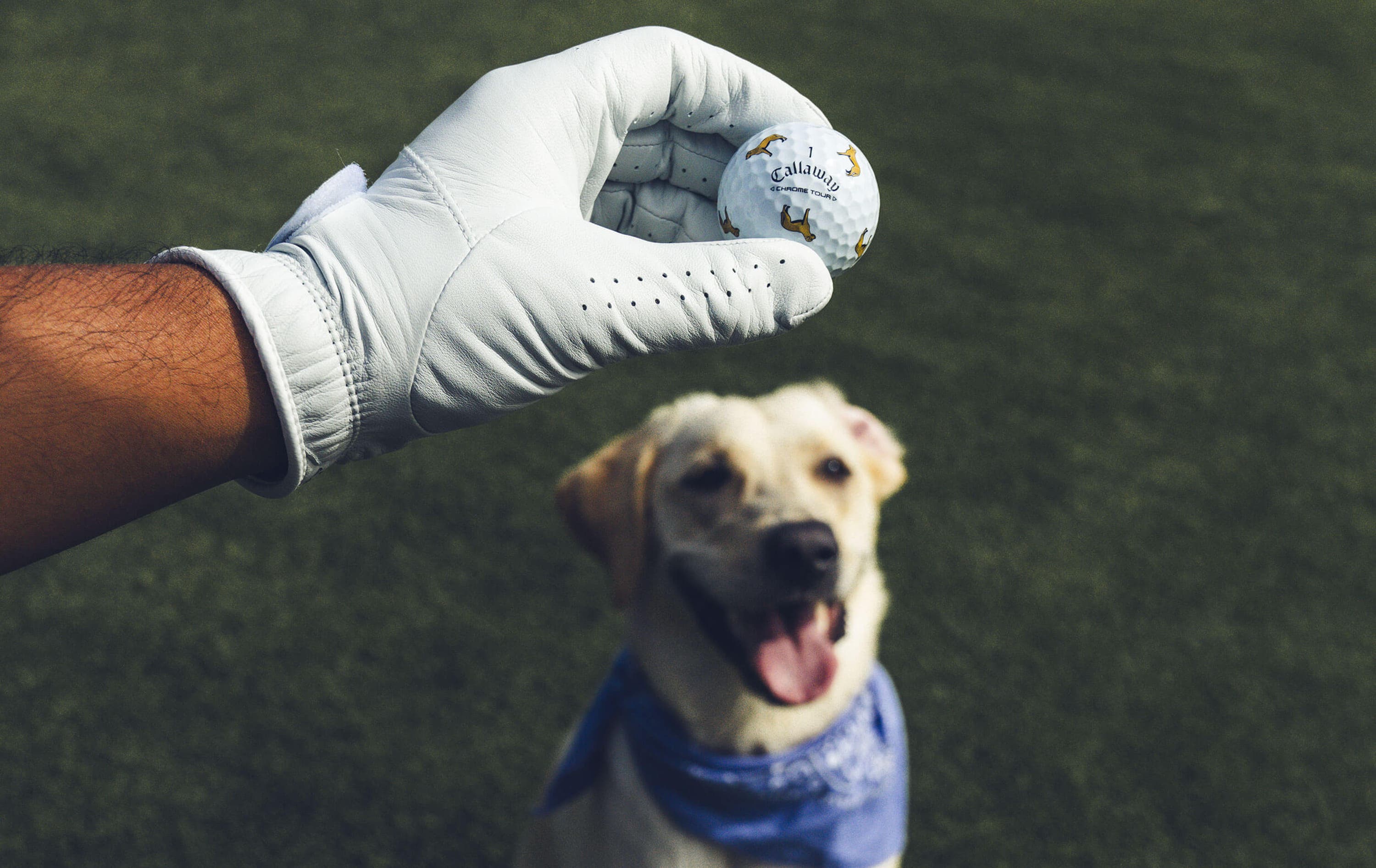 Lab Chrome Tour Golf Balls