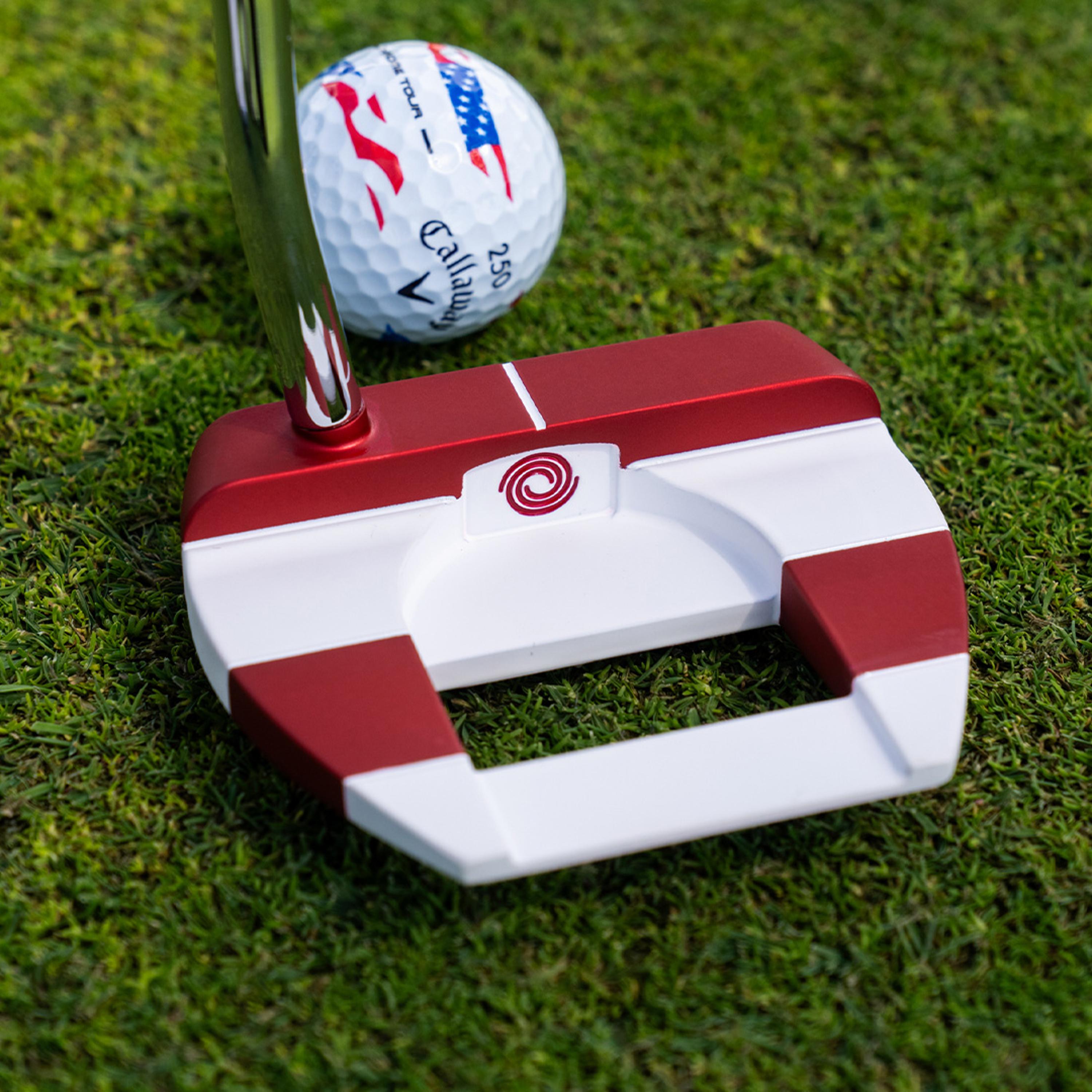 Ai-DUAL USA 250 Freebird Mini Putter