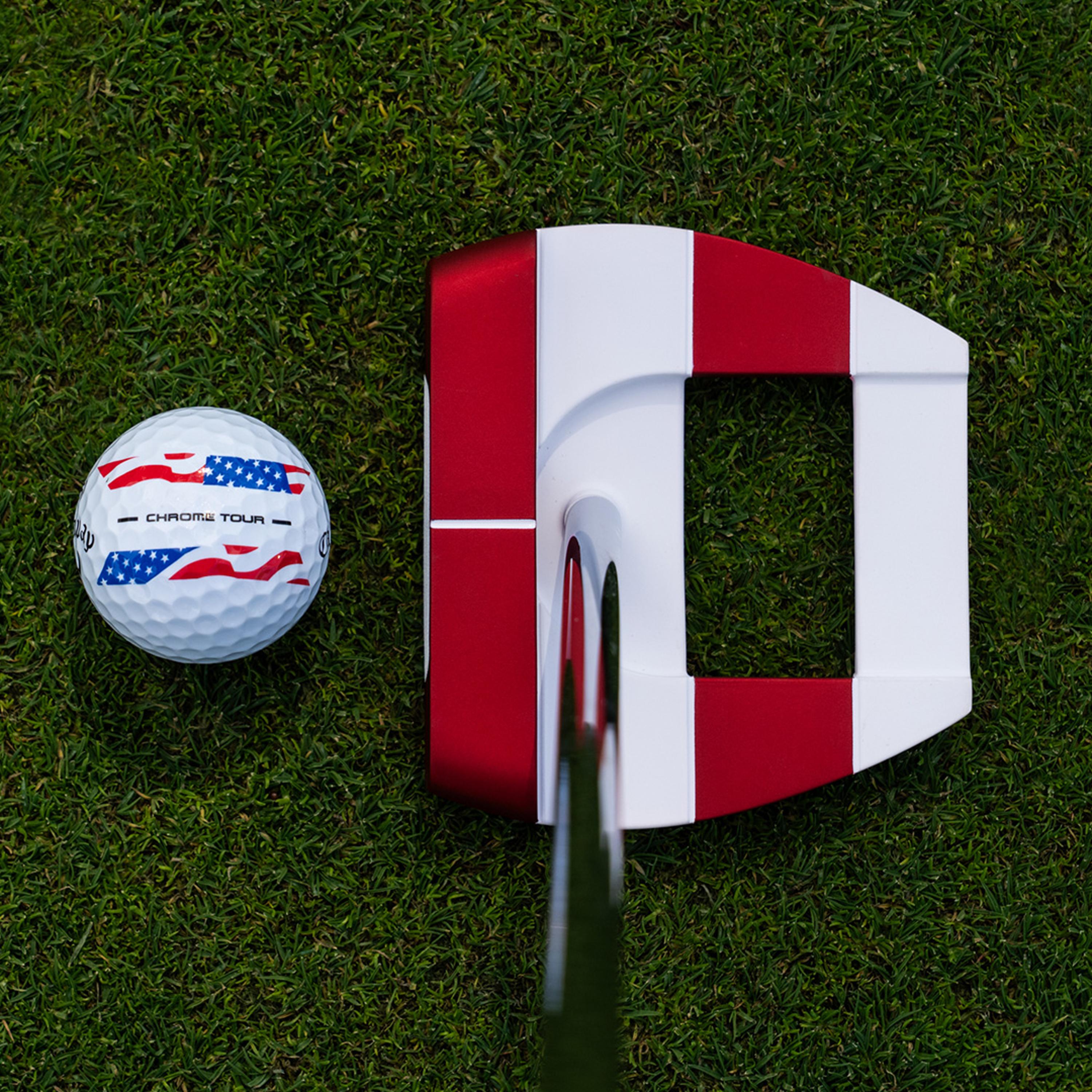 S2S Ai-DUAL USA 250 Freebird Cruiser Putter