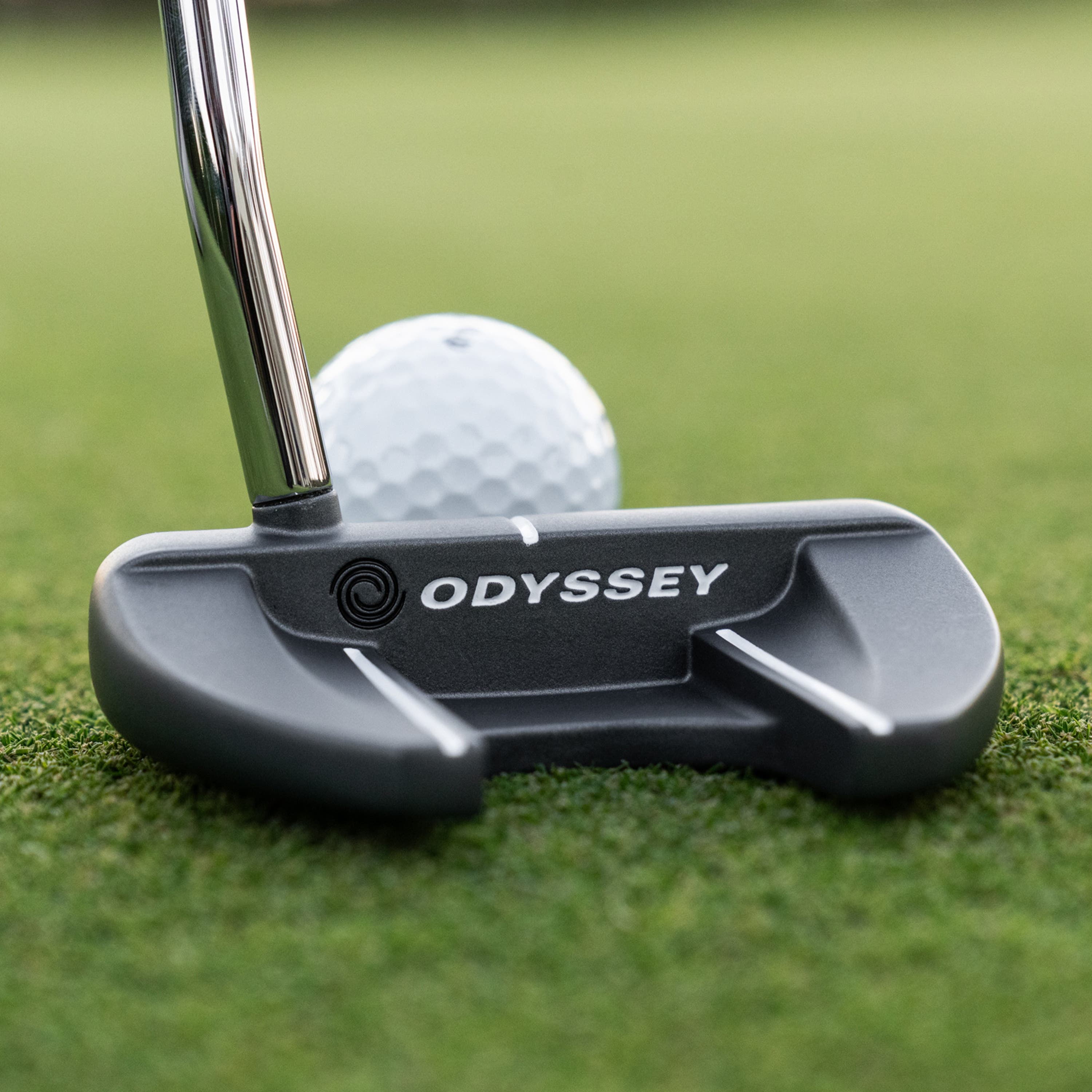 DFX V-Line Fang DB Putter