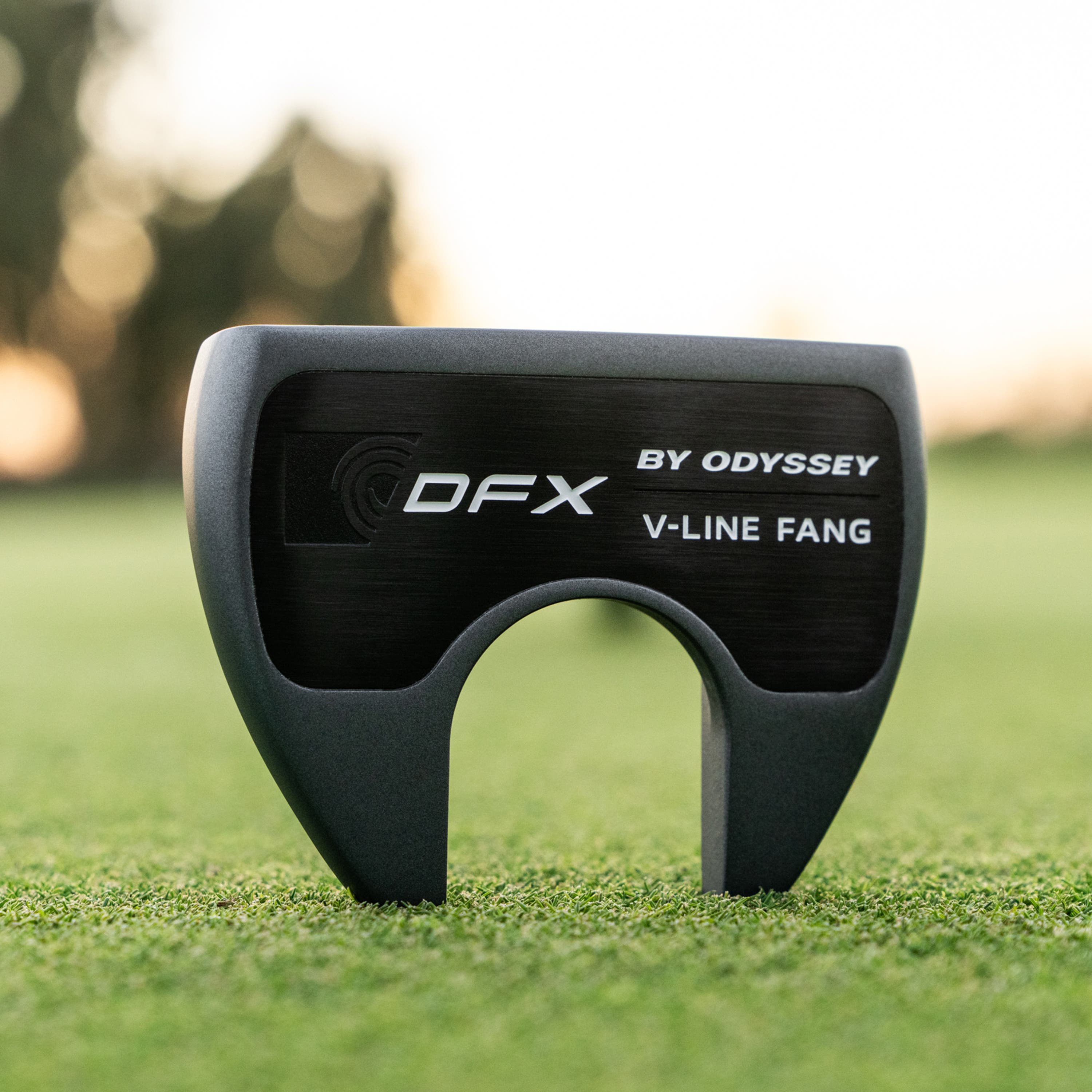 DFX V-Line Fang DB Putter