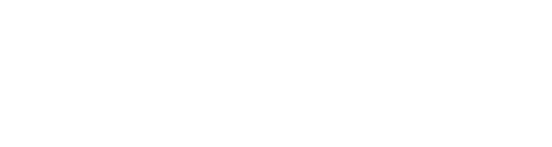 Chrome Soft Logo
