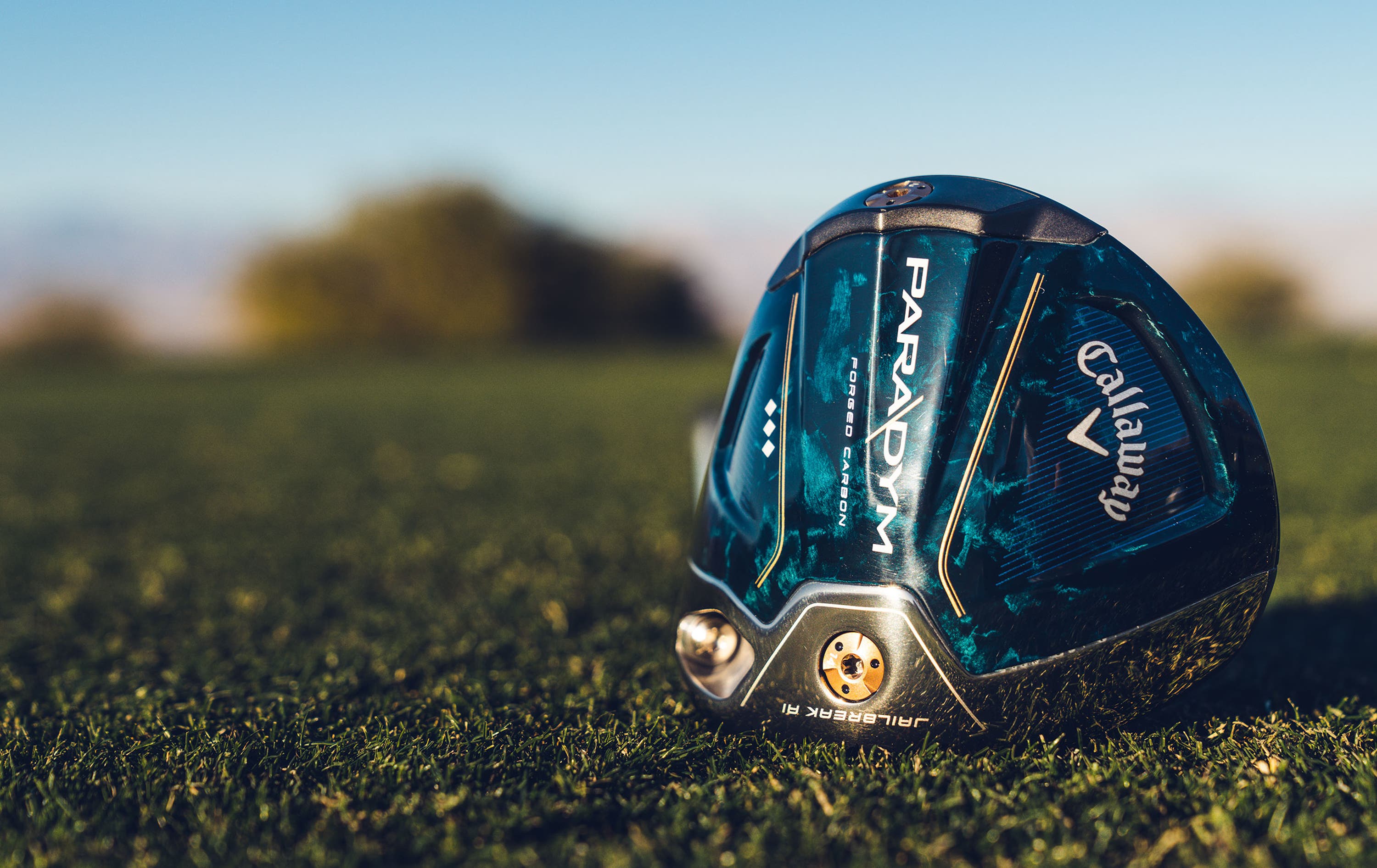 Callaway Golf Gallery image