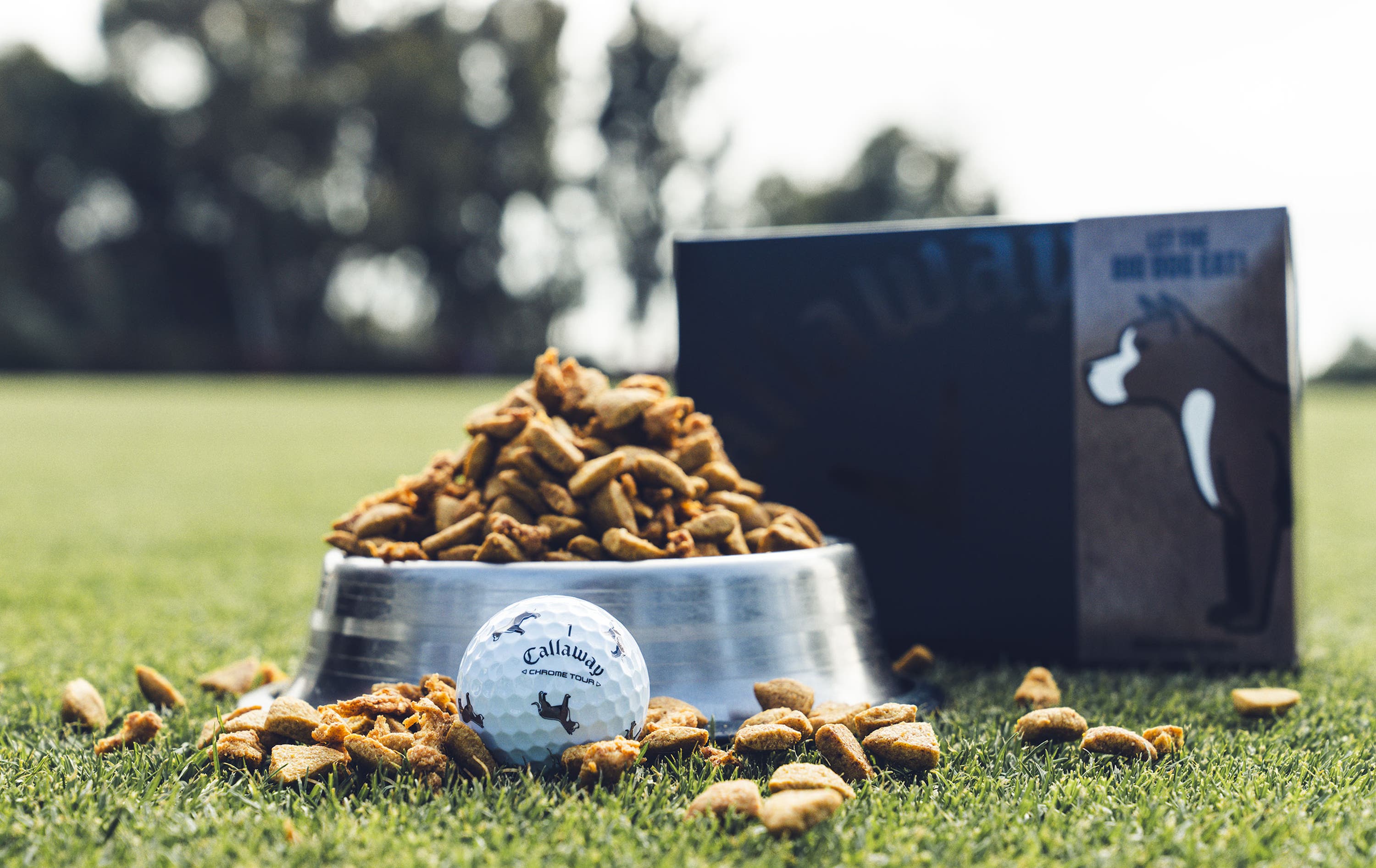 pit bull Chrome Tour Golf Balls