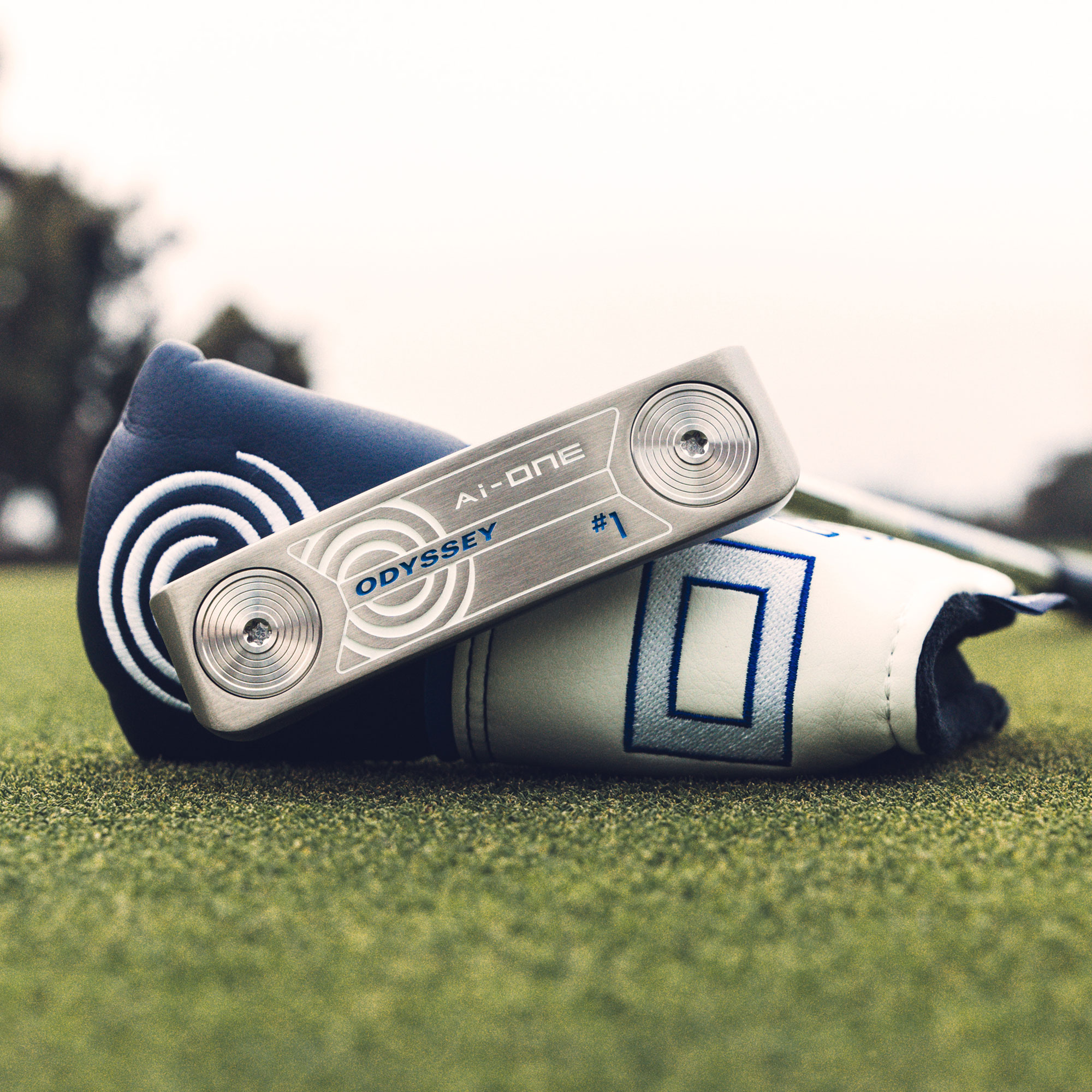 Ai-ONE Silver #1 CH Putter