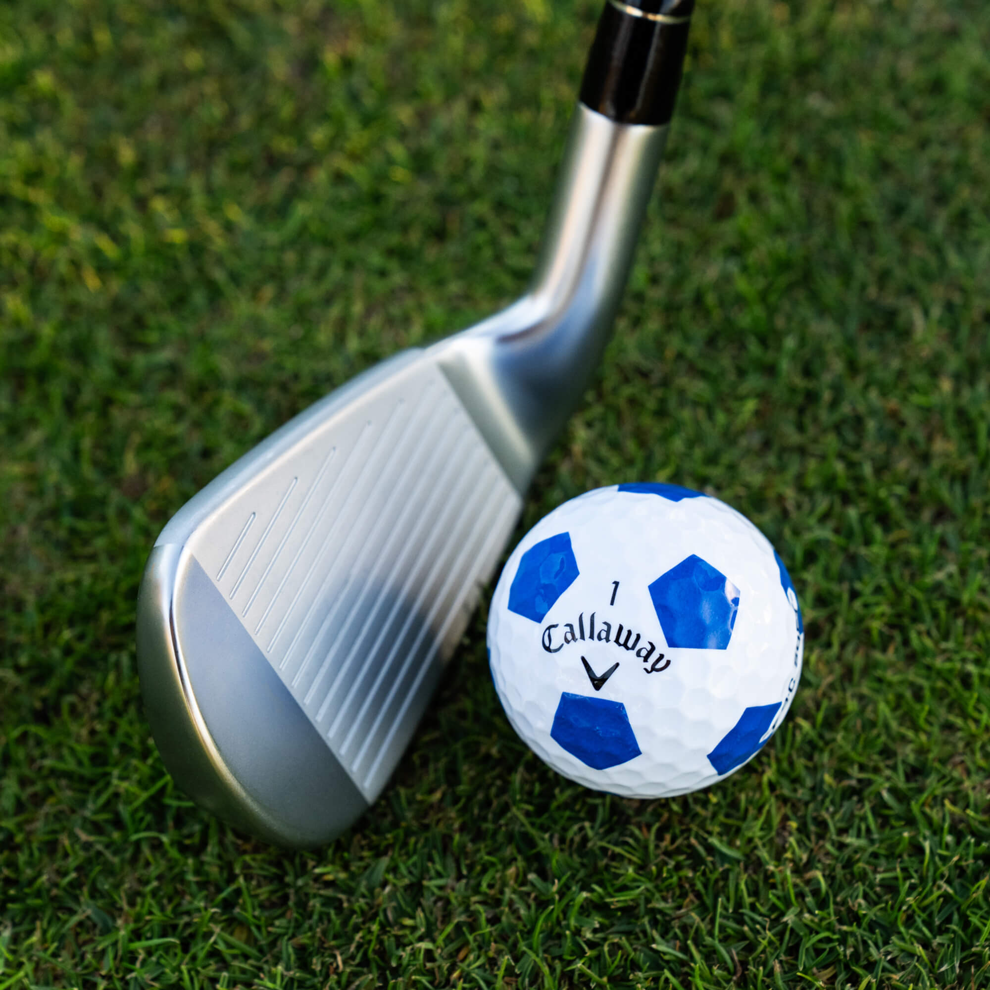 E•R•C Soft Truvis Blue Golf Balls