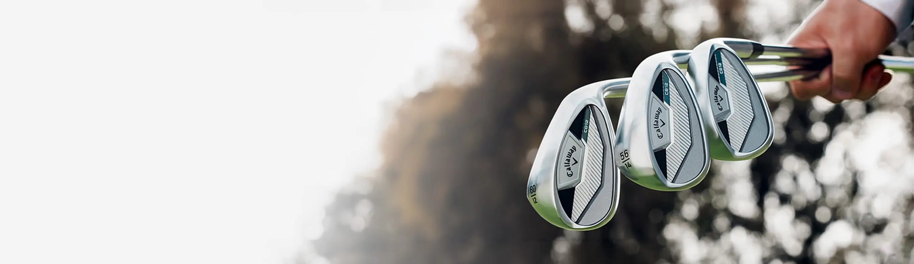SB Wedges
