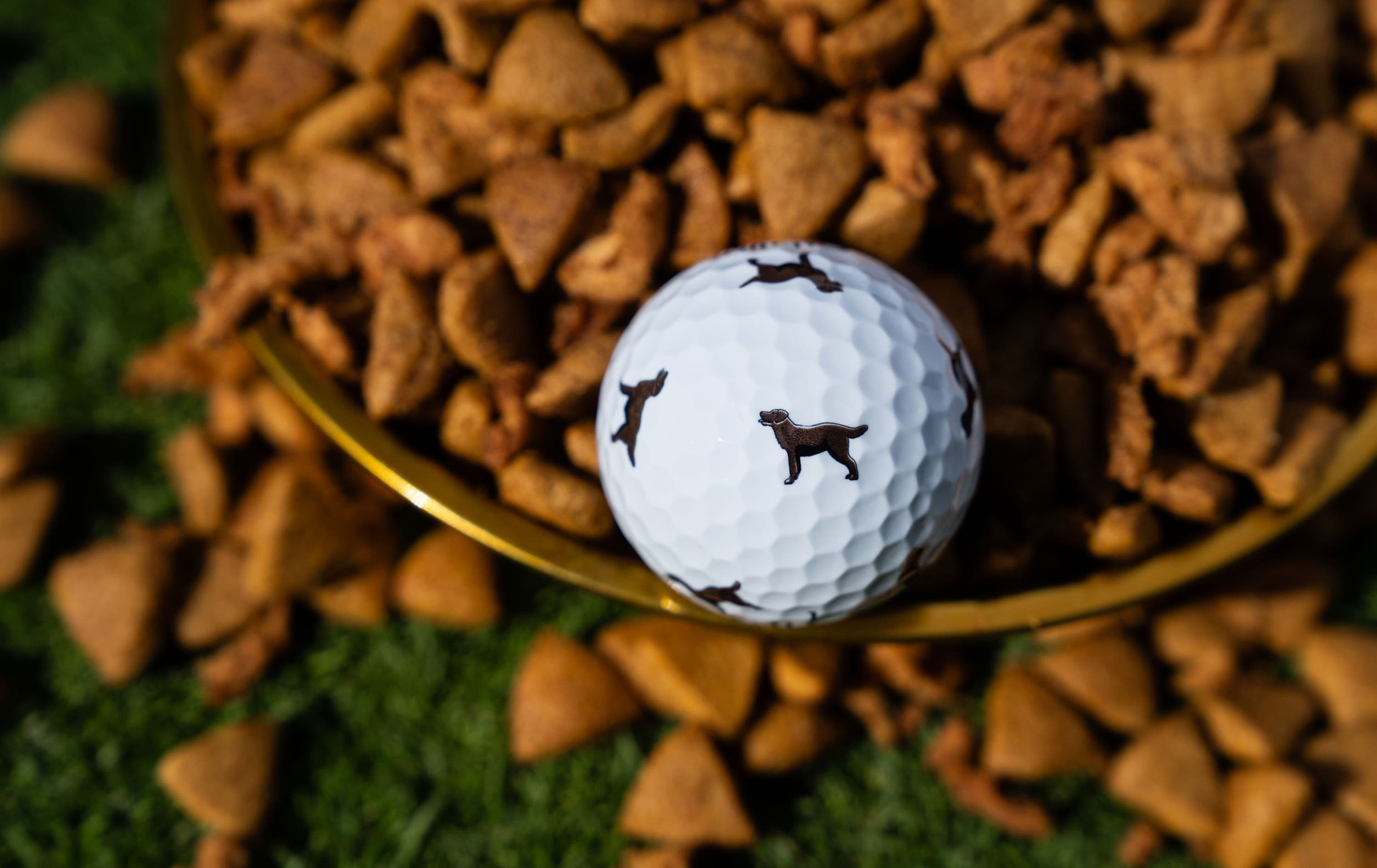 Chrome Tour Let the Big Dog Eat – Chocolate Lab Golf Balls