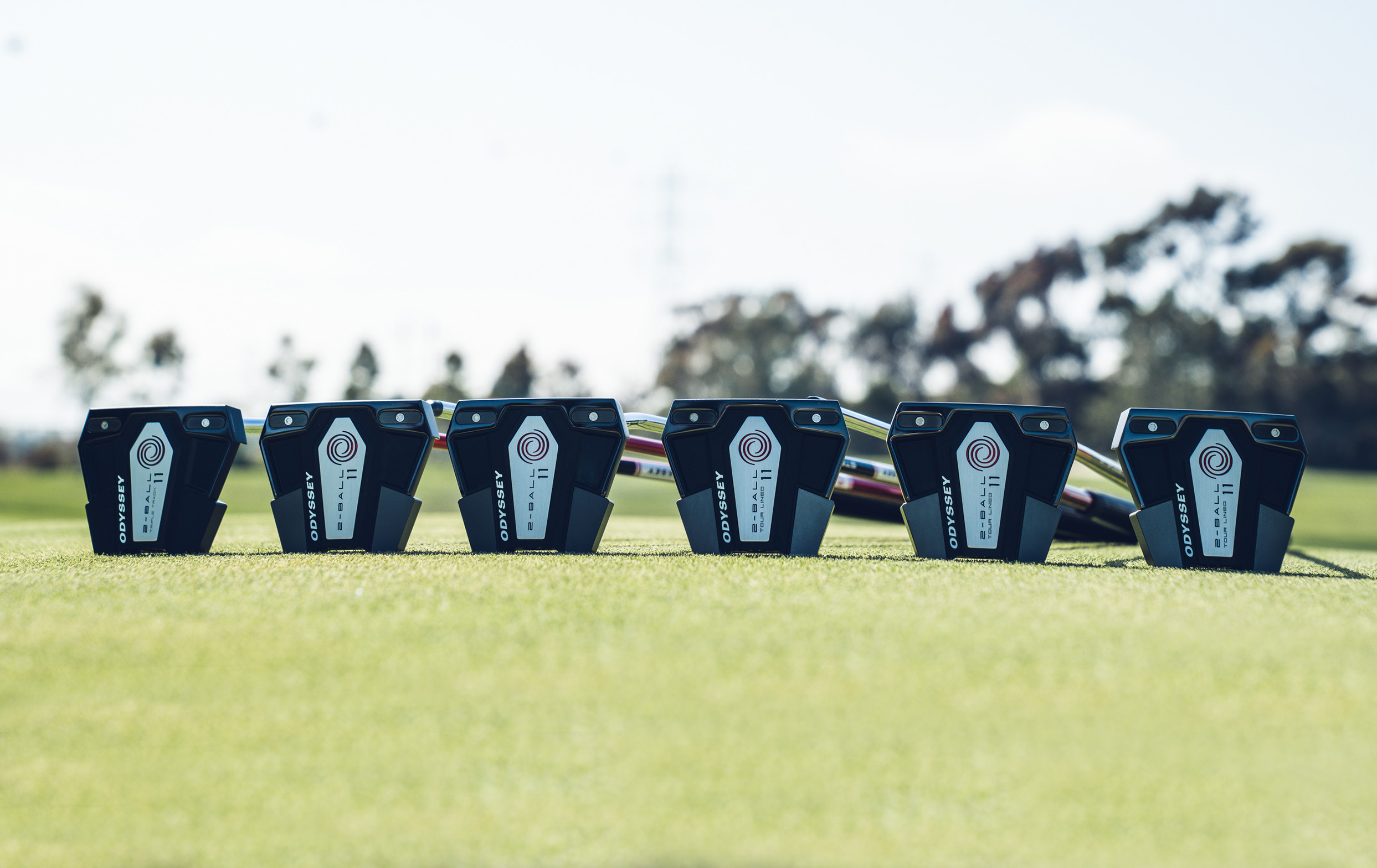 2-Ball Eleven Putter