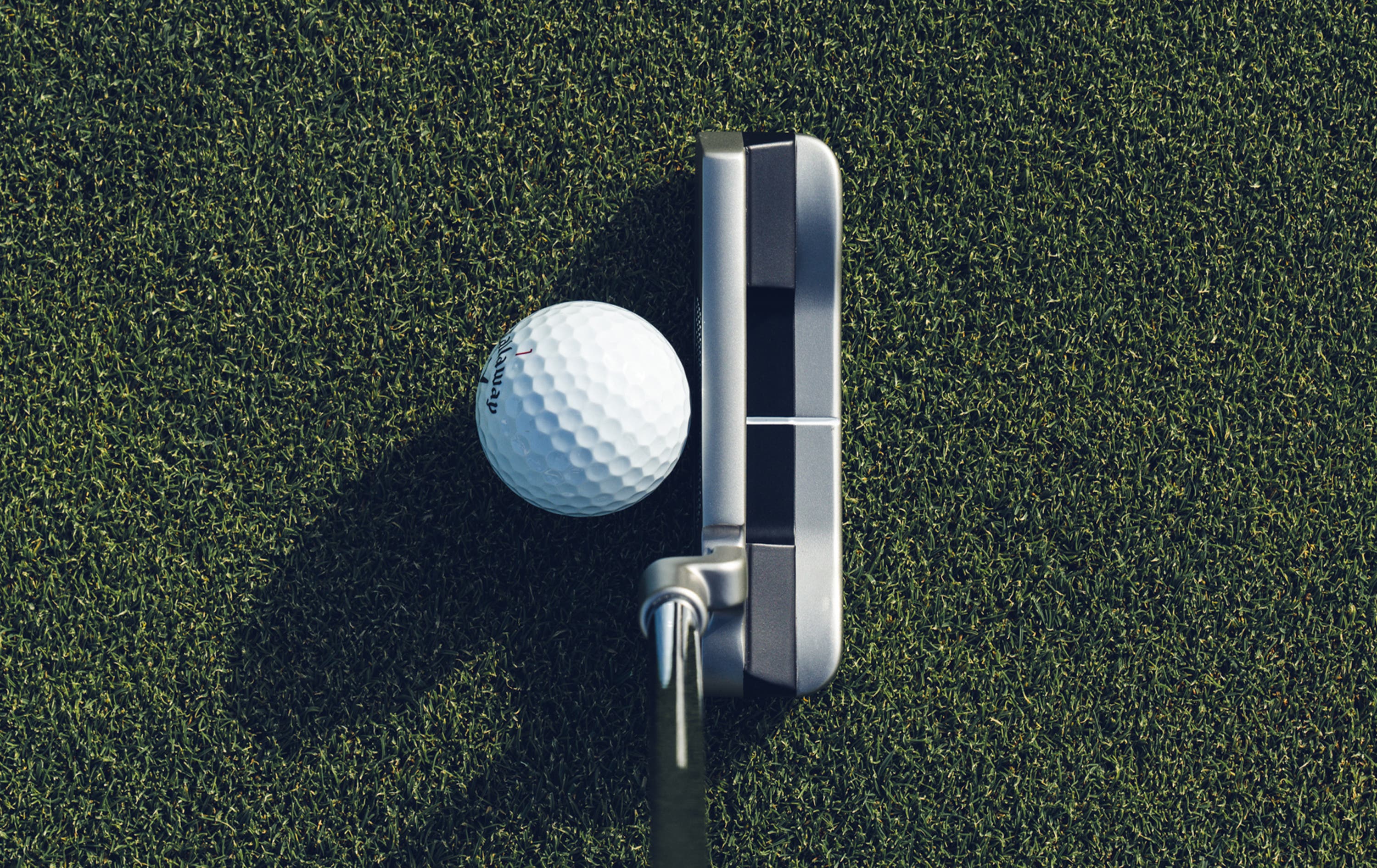 Microhinge #1 CH Putter