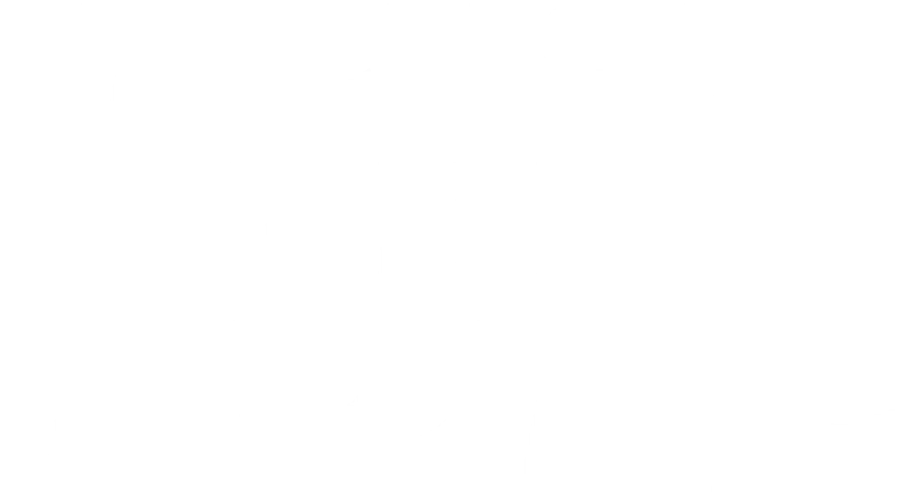 trust-the-trtl-text.png