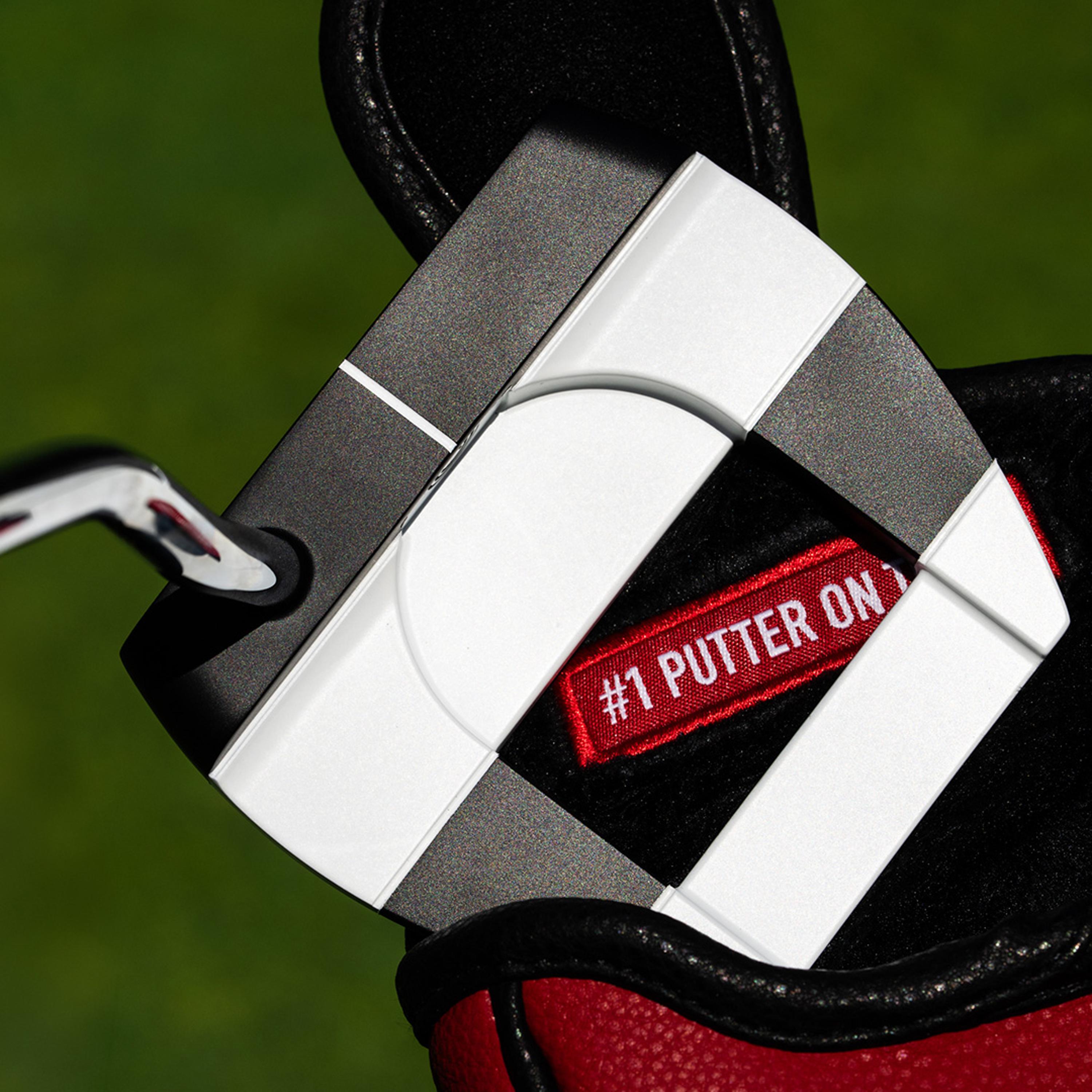Ai-DUAL Jailbird Cruiser Putter