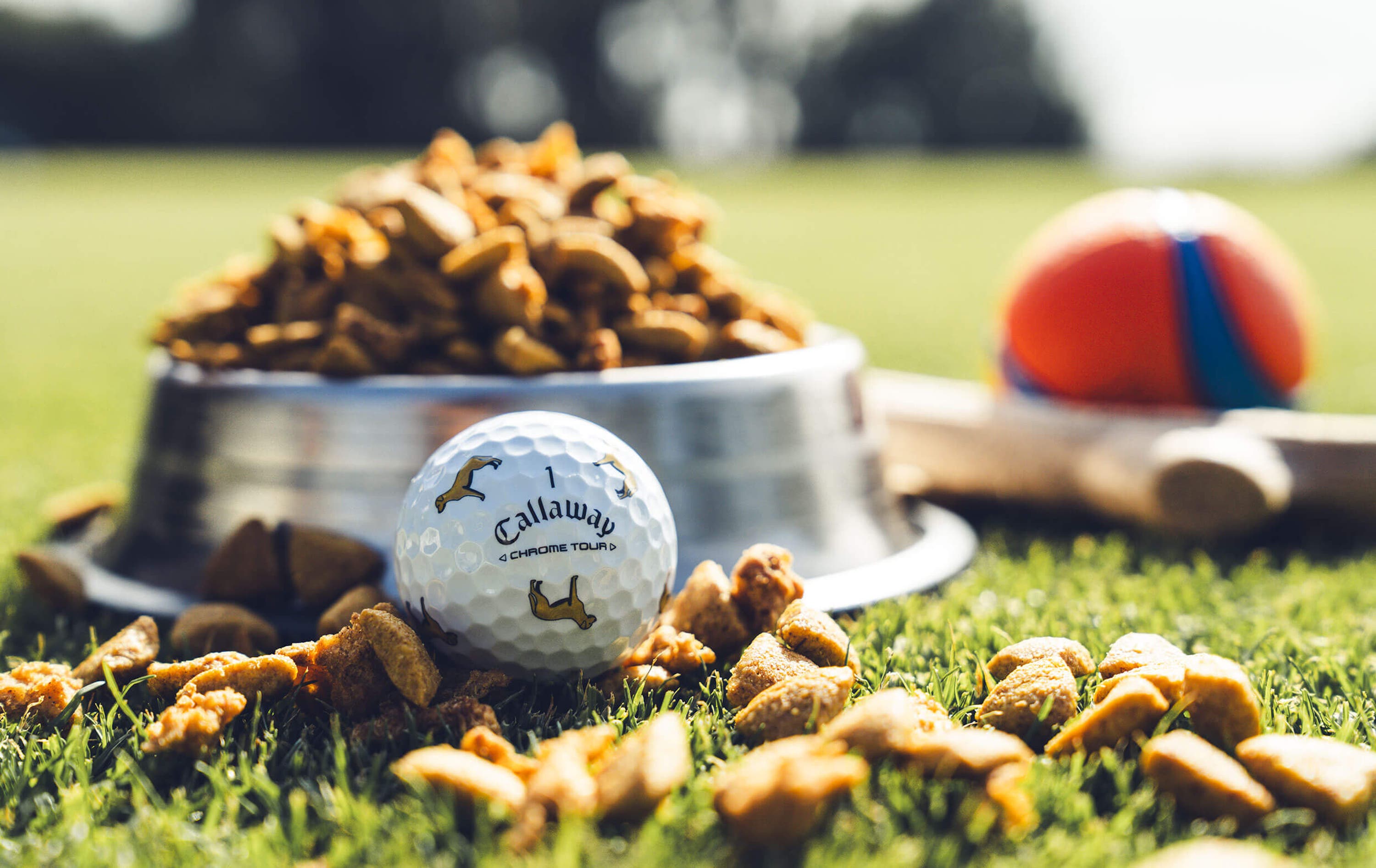 Lab Chrome Tour Golf Balls