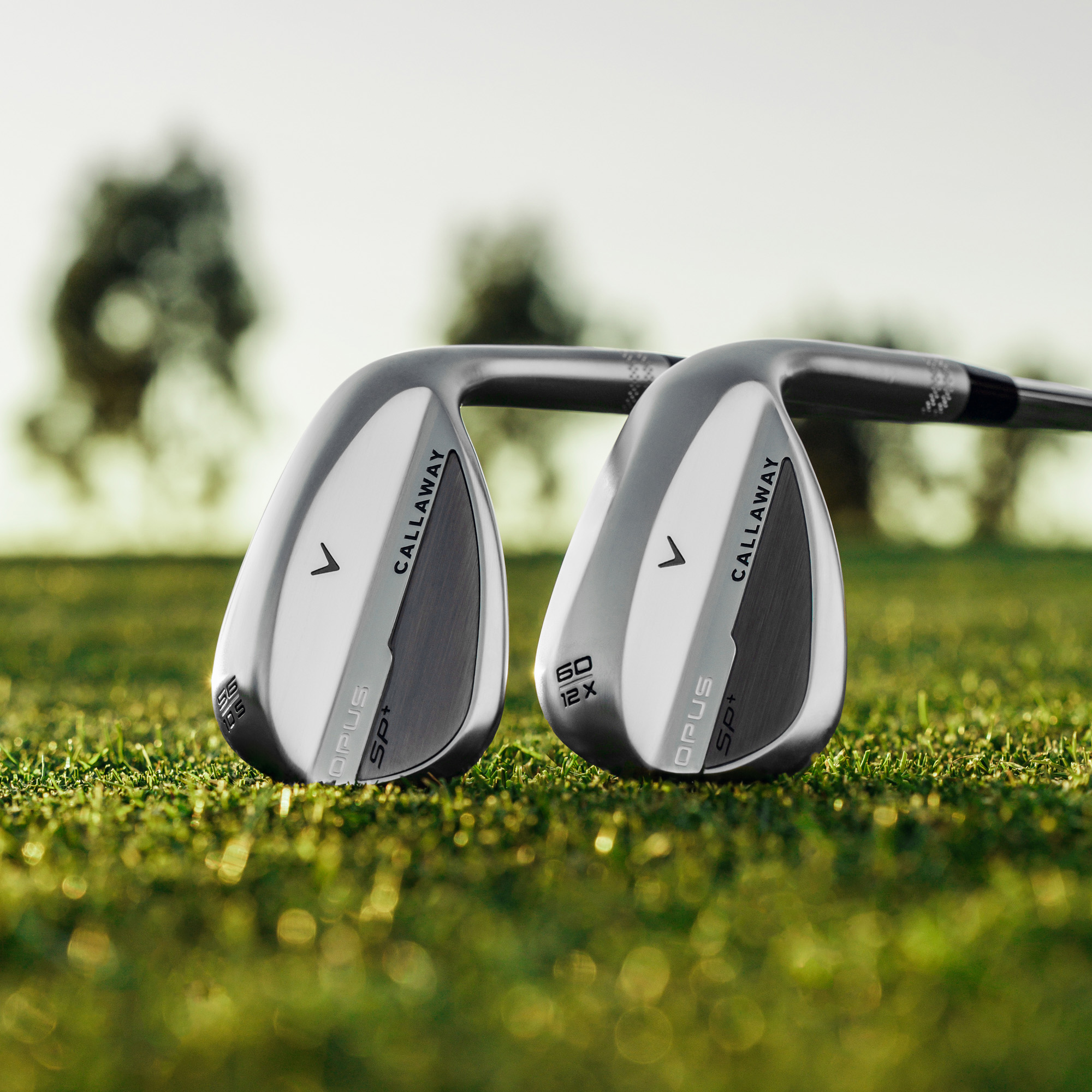 Opus SP+ Chrome Wedge